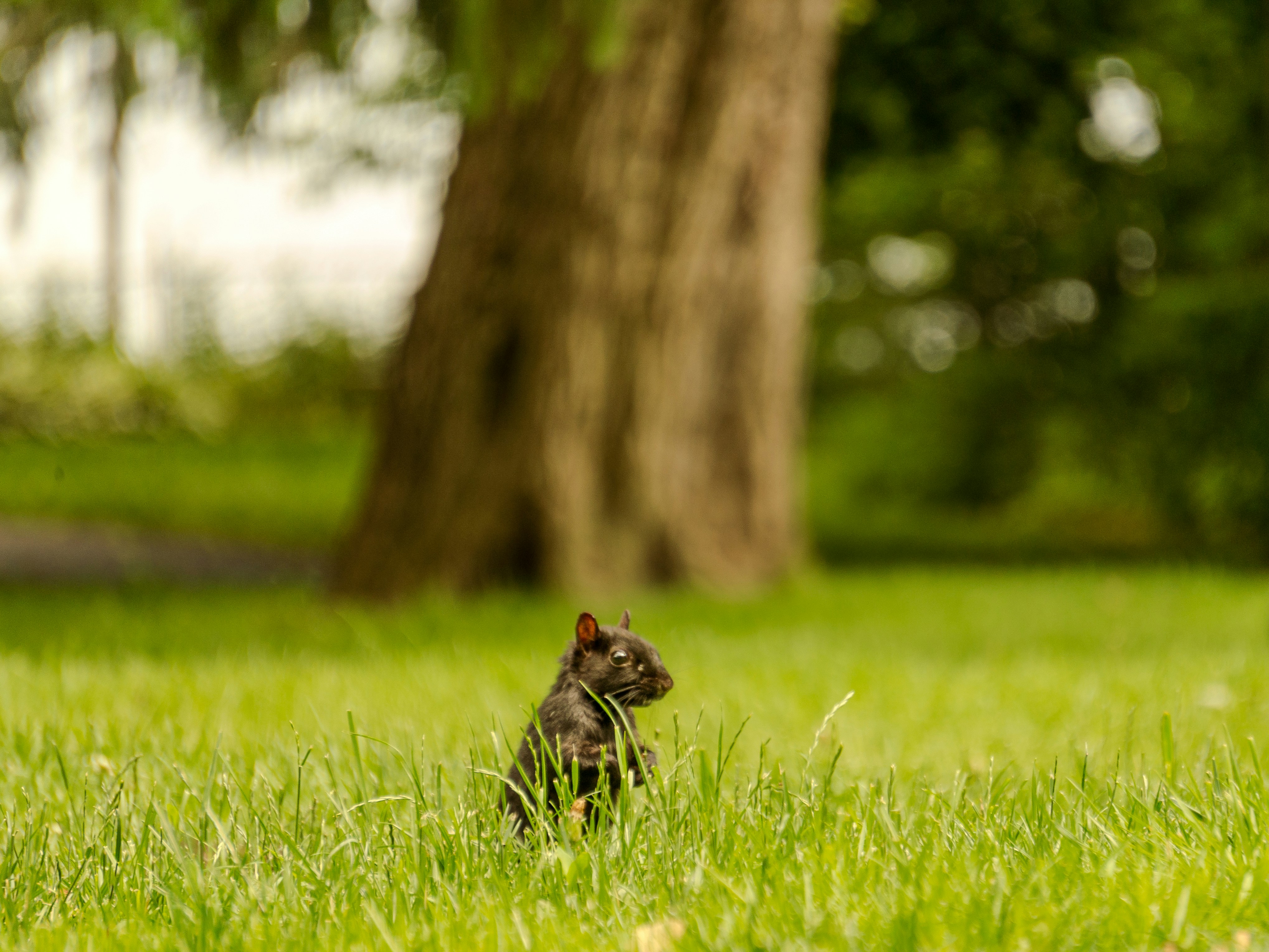 Photo by whereiskylenow