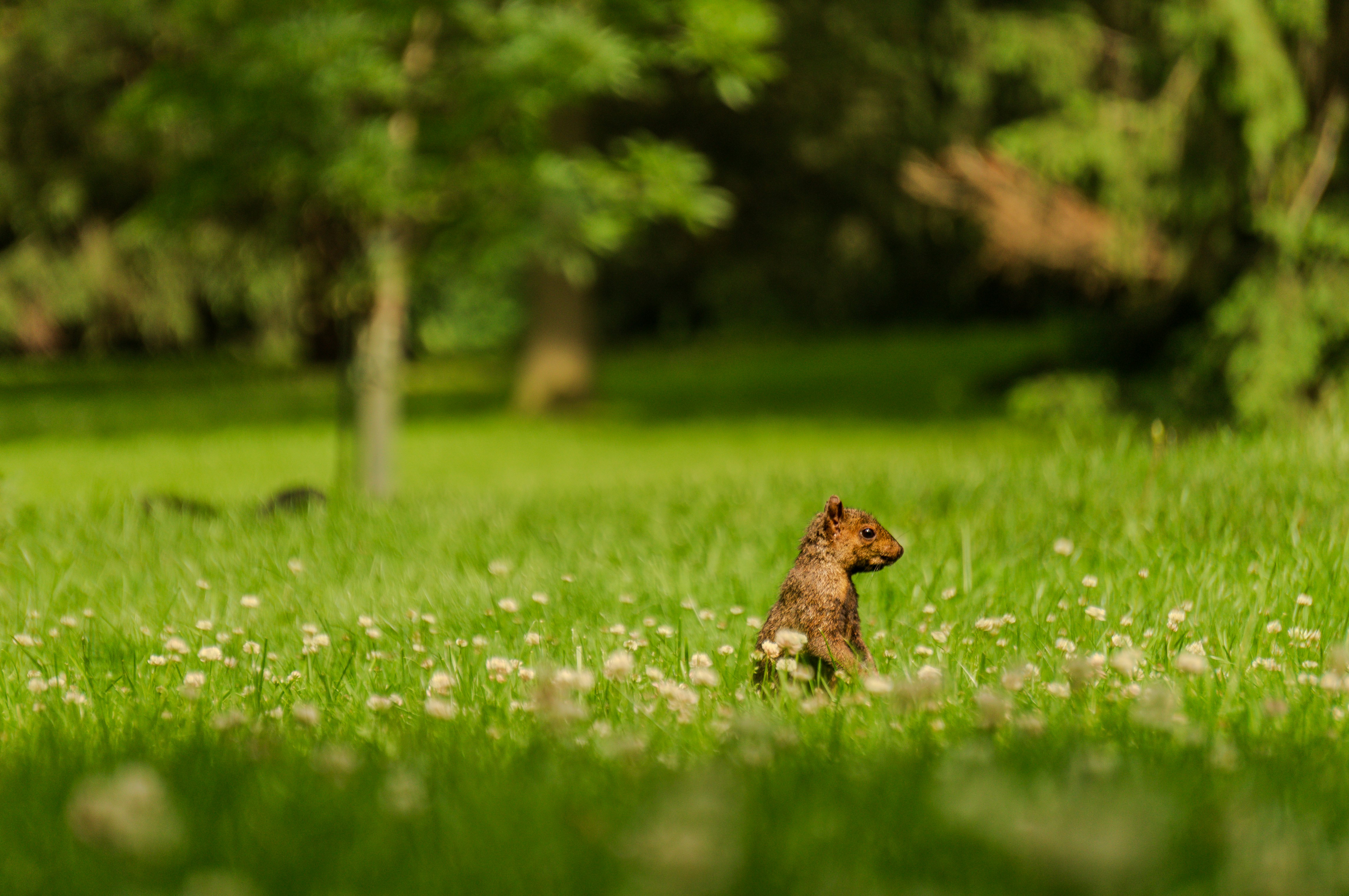 Photo by whereiskylenow