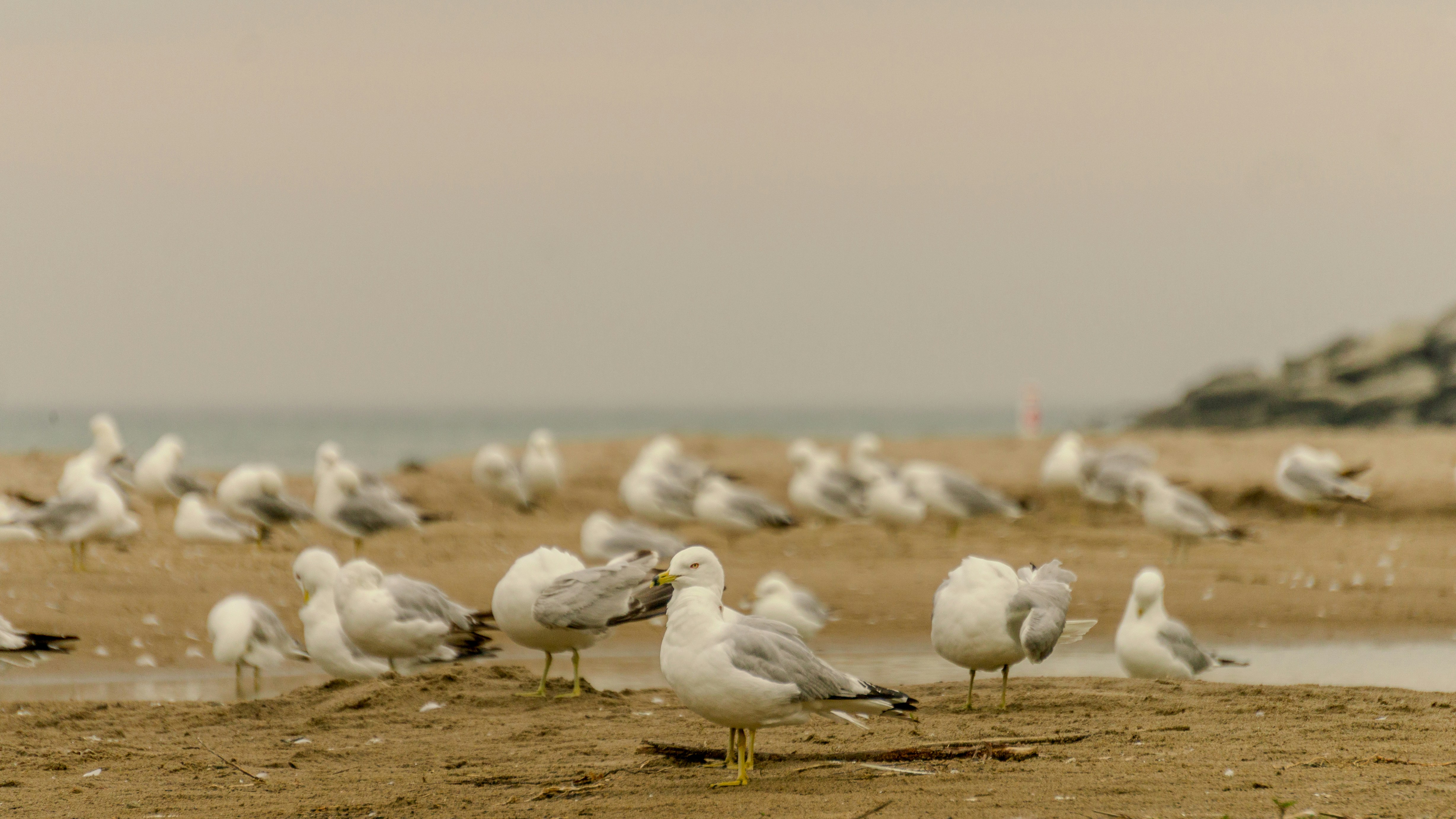 Photo by whereiskylenow