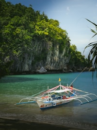 A boat that is sitting in the water