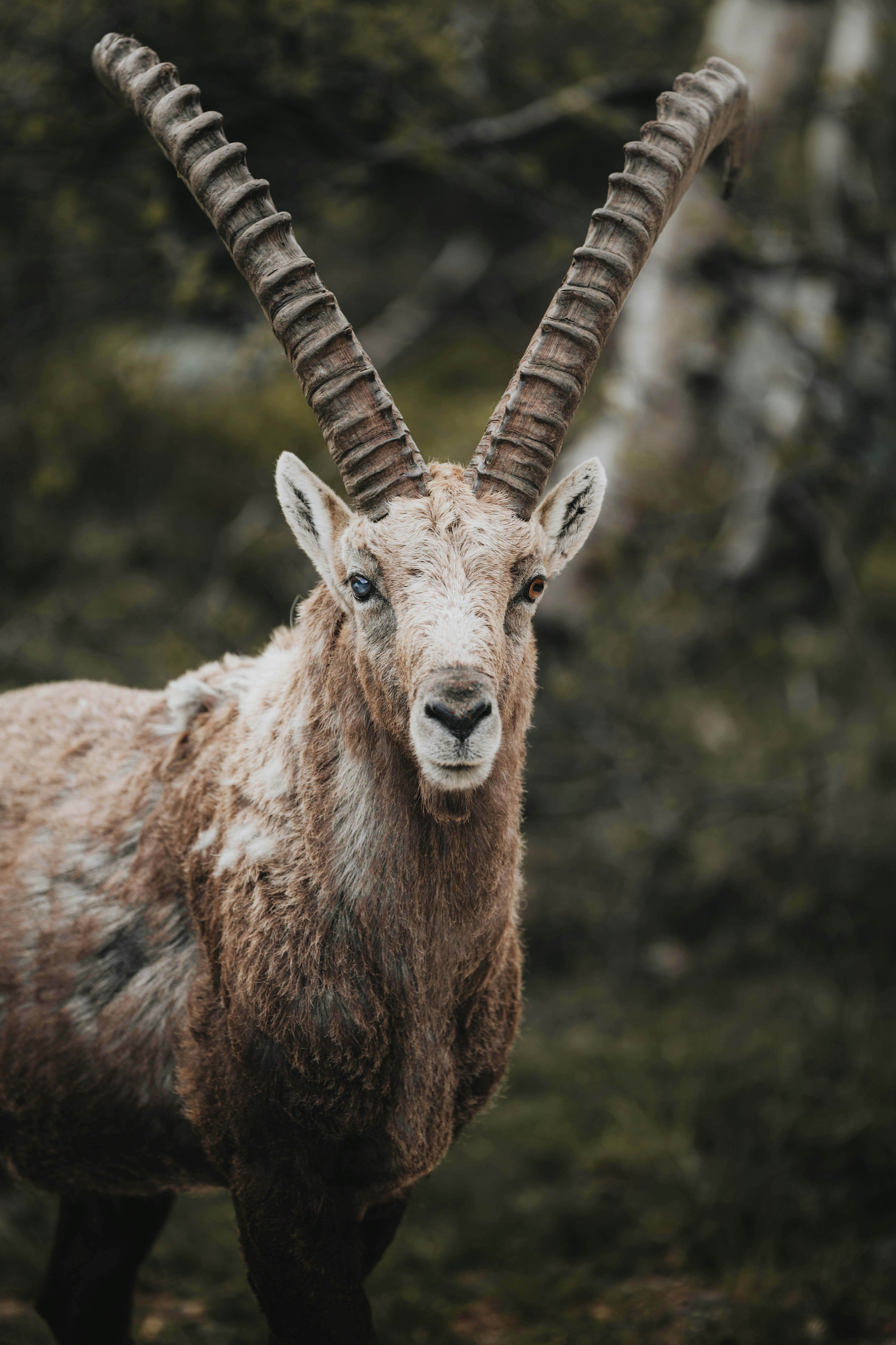 Photo by martin_masson