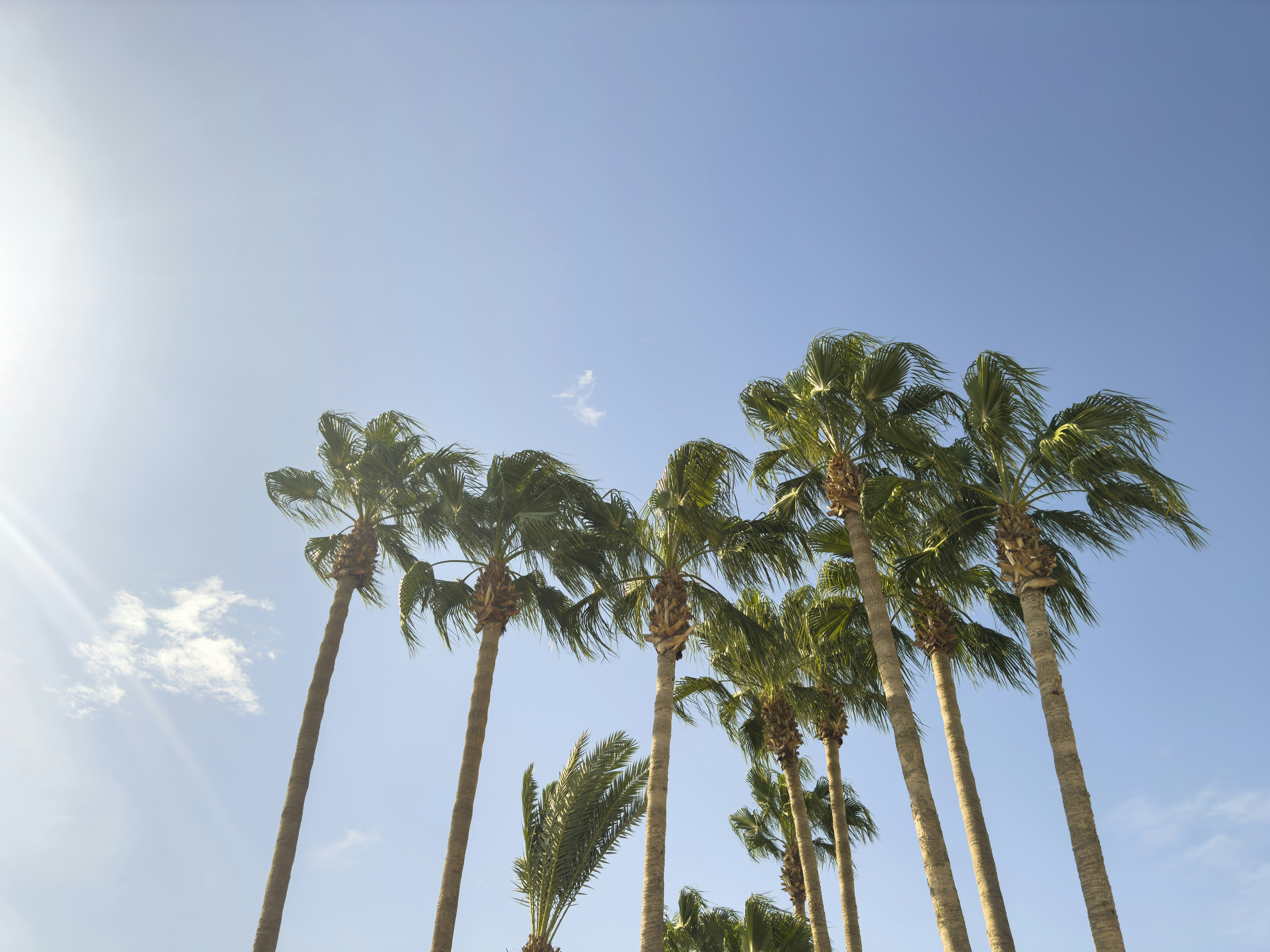 Photo by enginakyurt