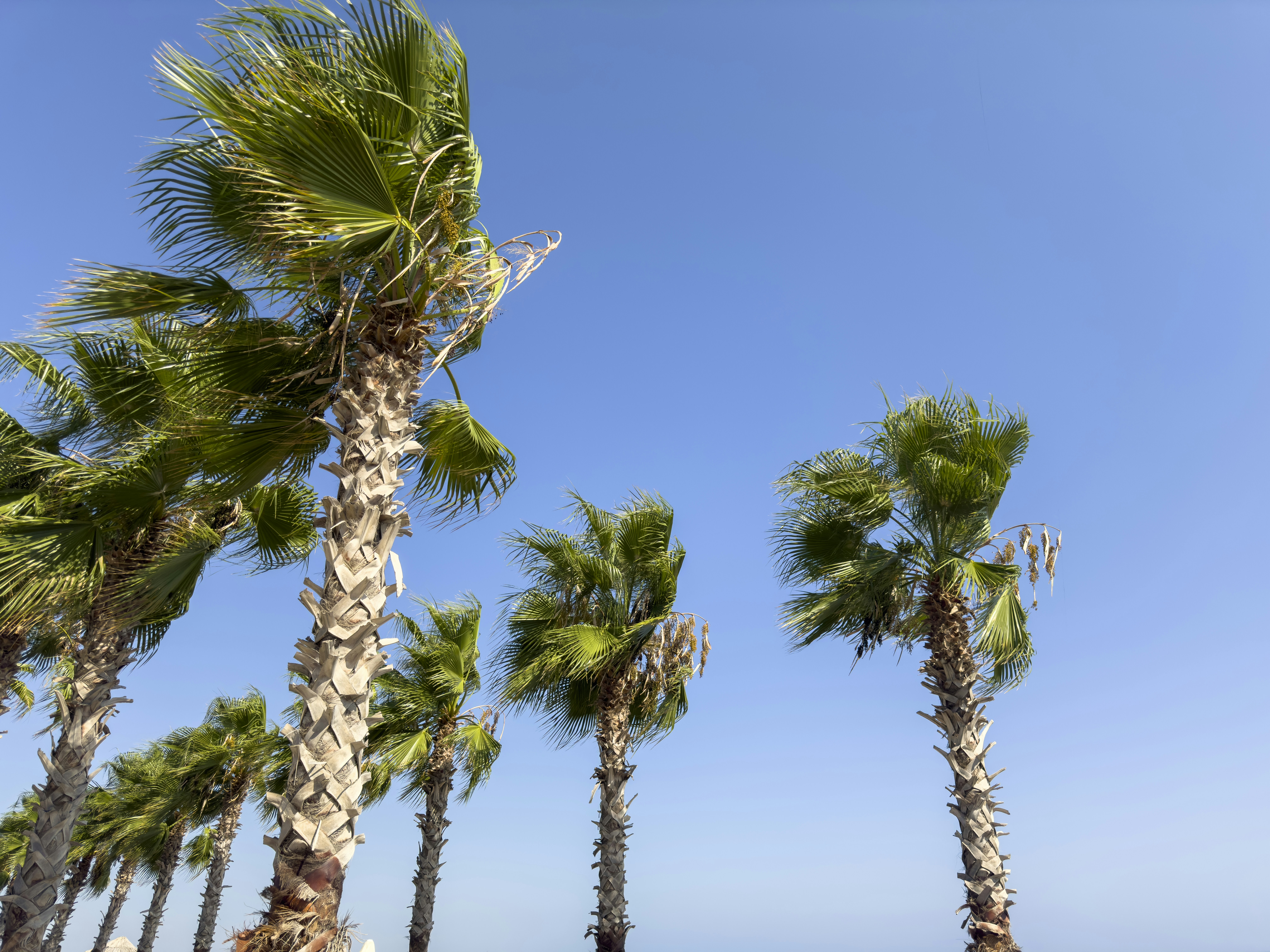 Photo by enginakyurt