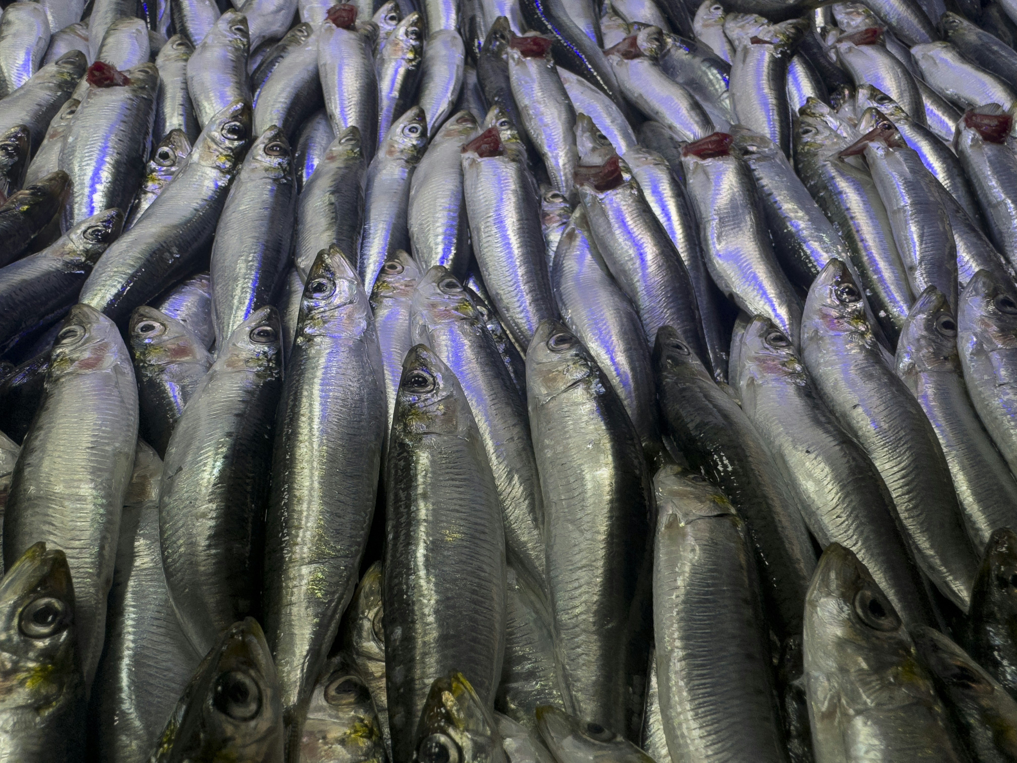 Photo by enginakyurt