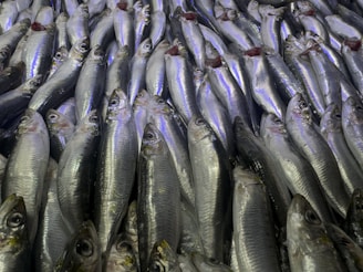 A bunch of fish that are on a table