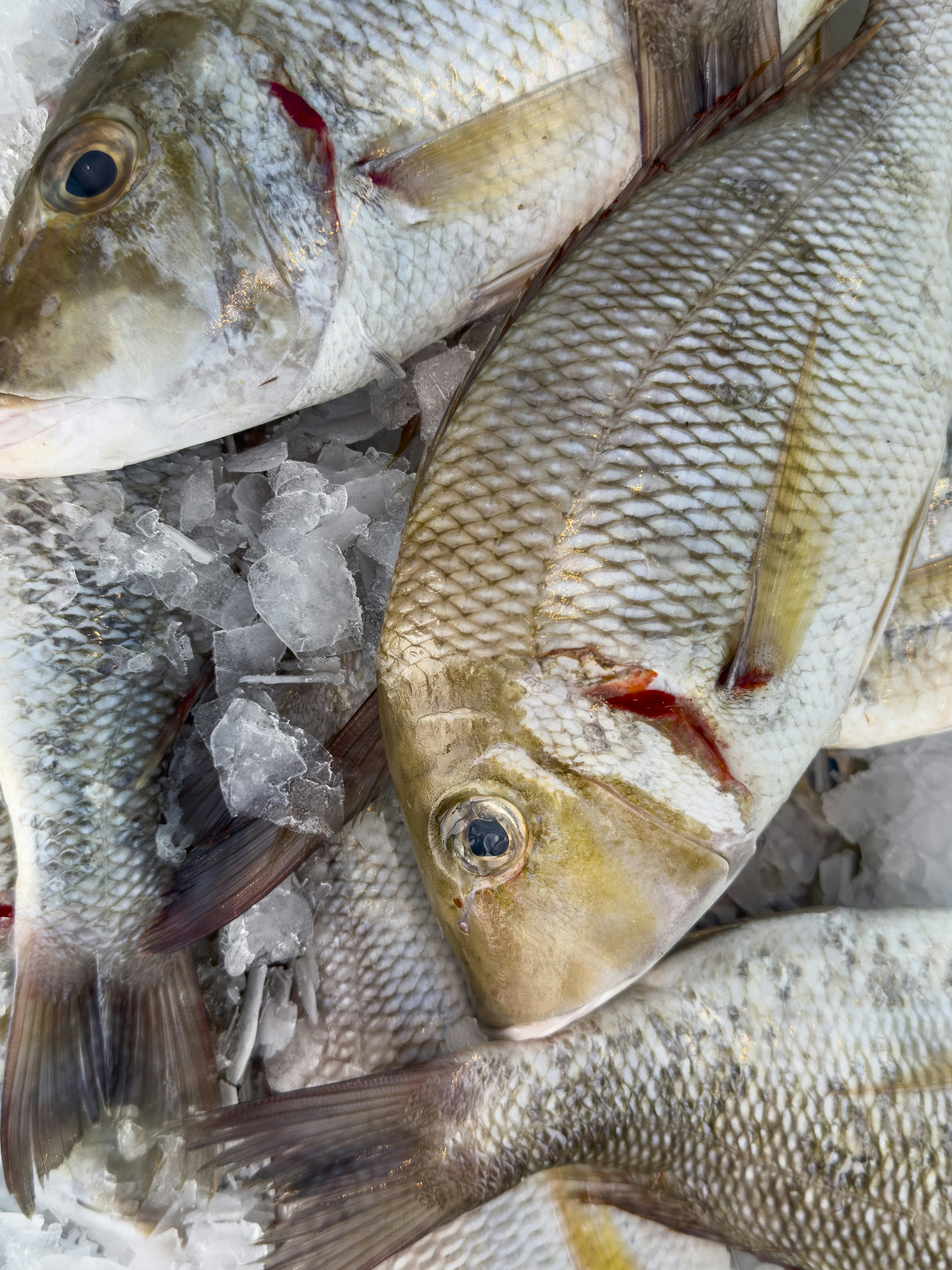 Photo by enginakyurt