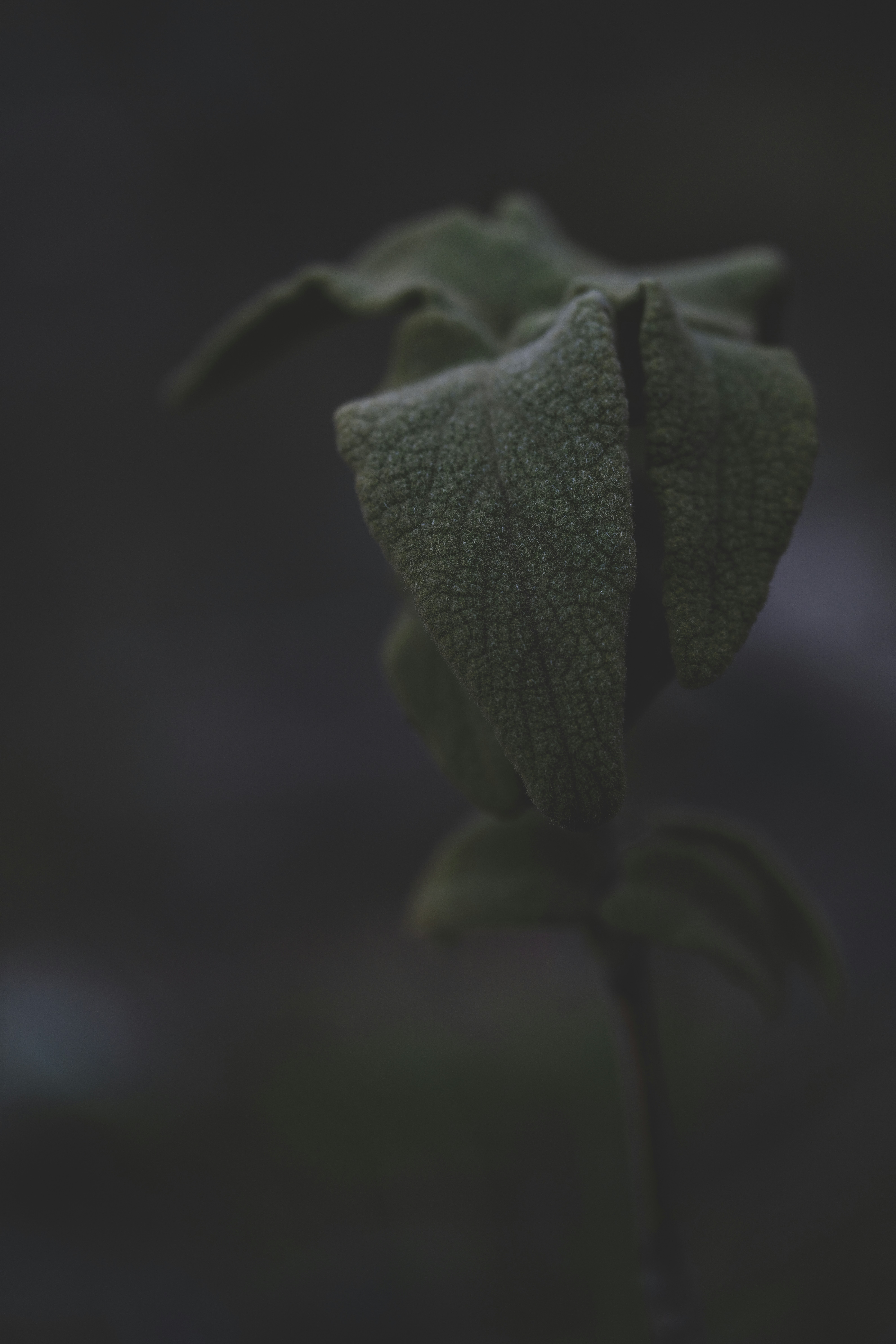 Photo by enginakyurt