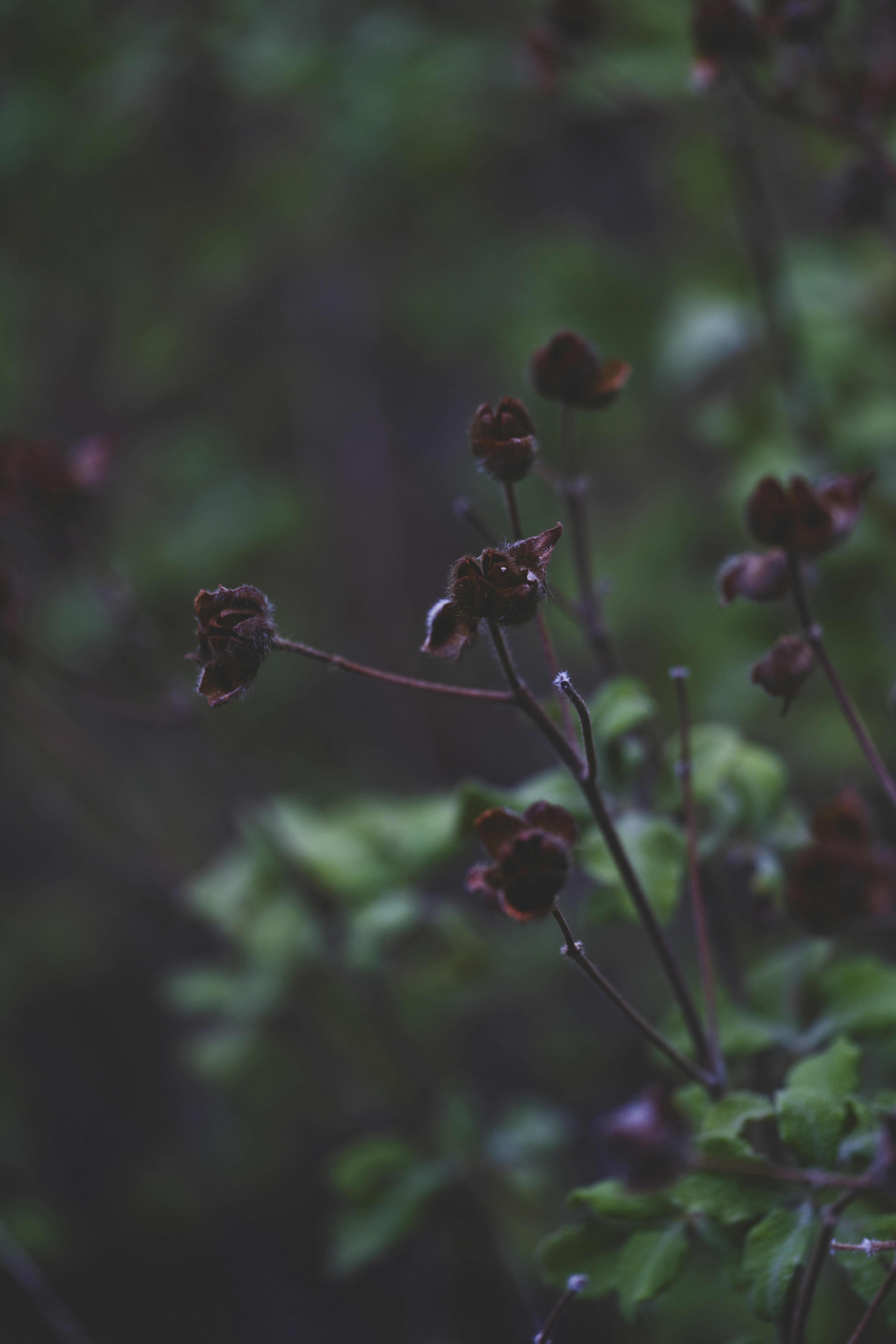 Photo by enginakyurt