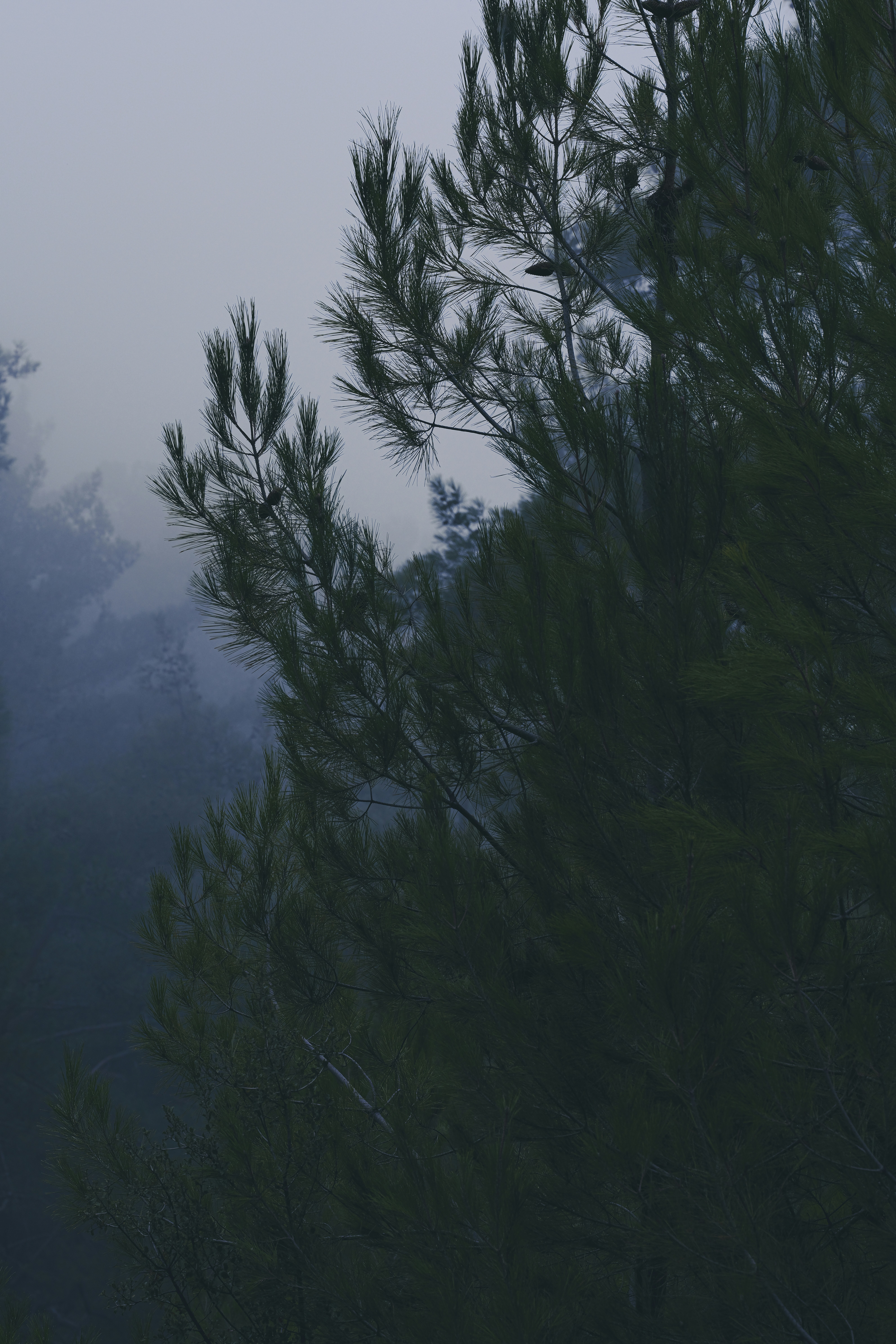 Photo by enginakyurt