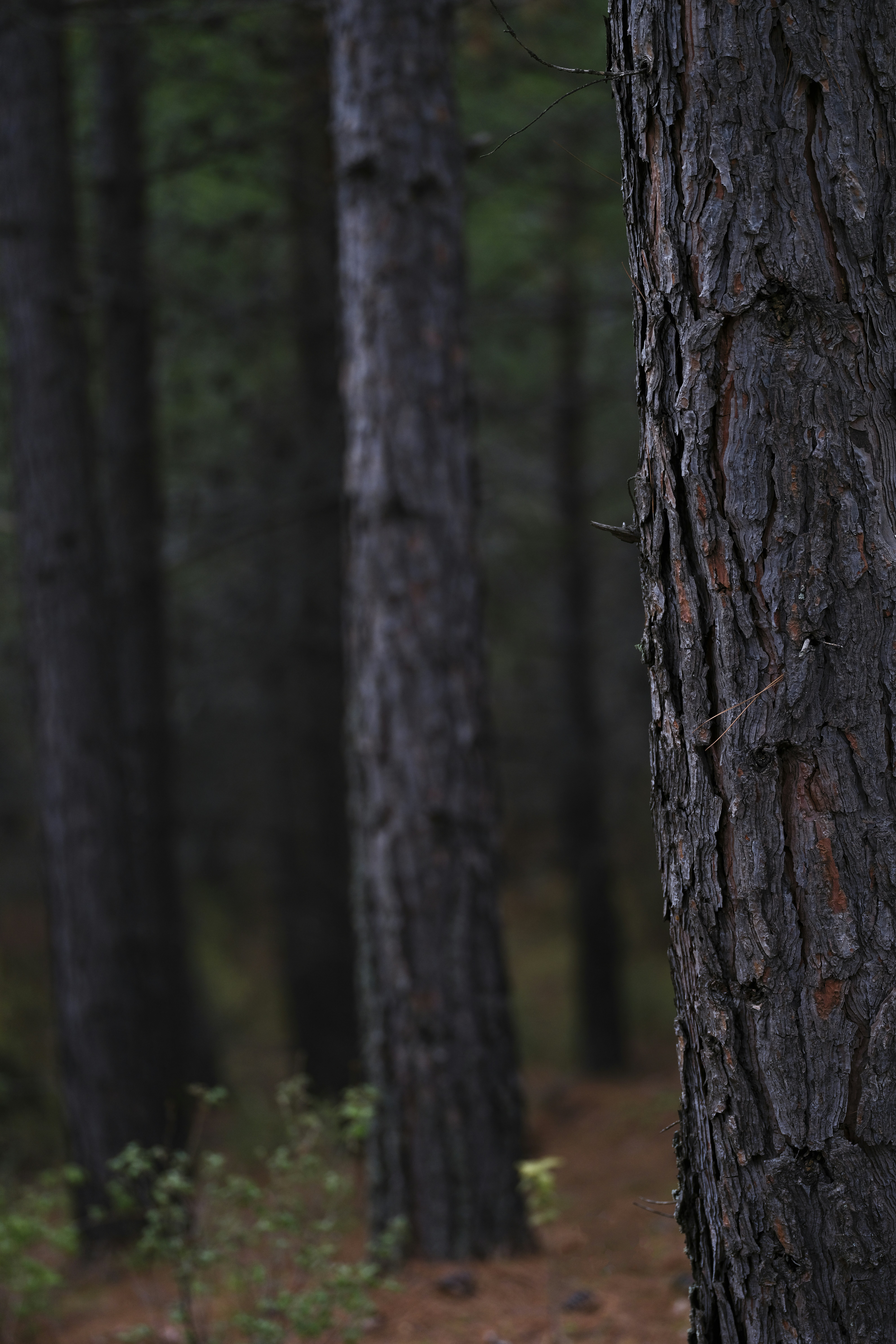 Photo by enginakyurt