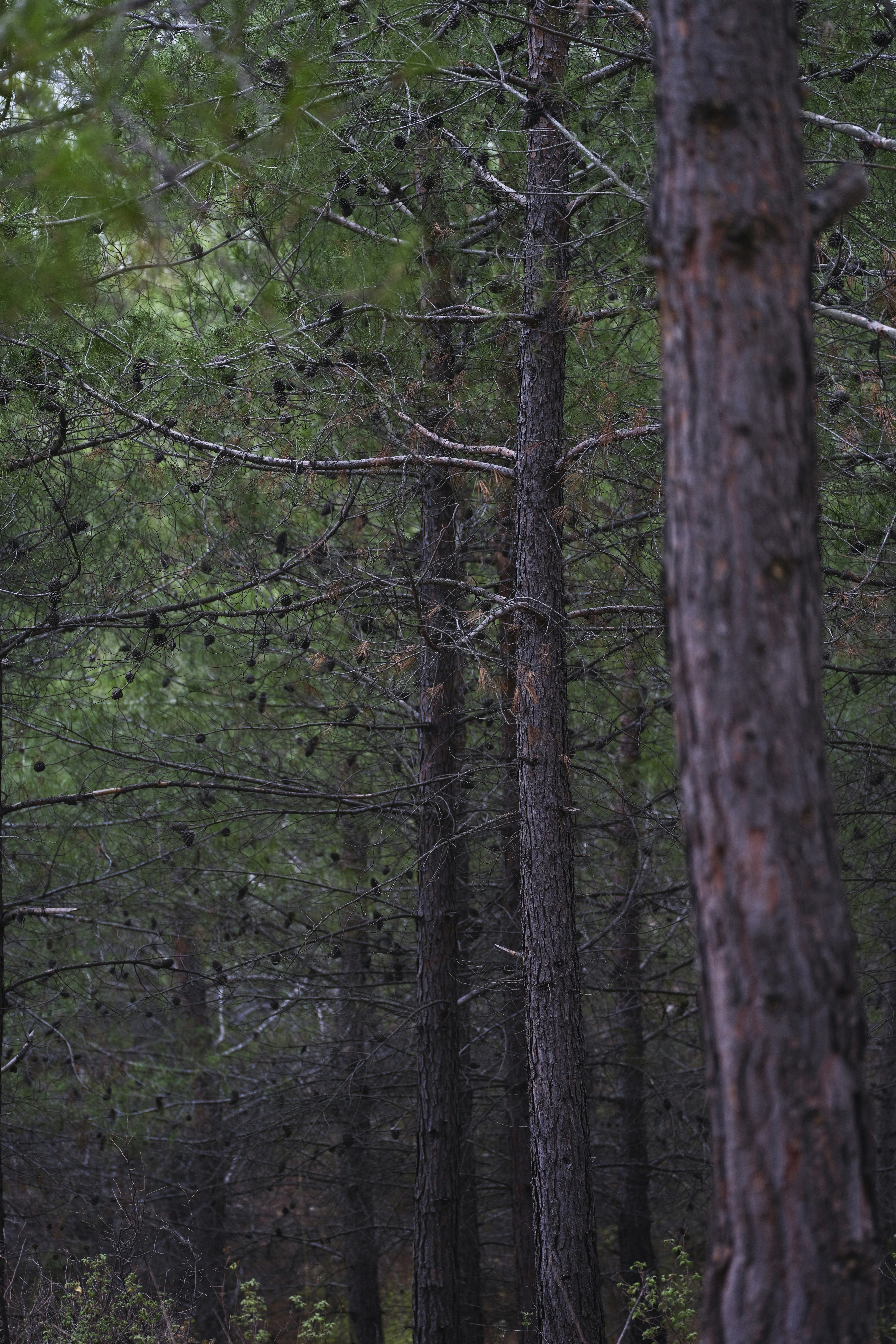 Photo by enginakyurt