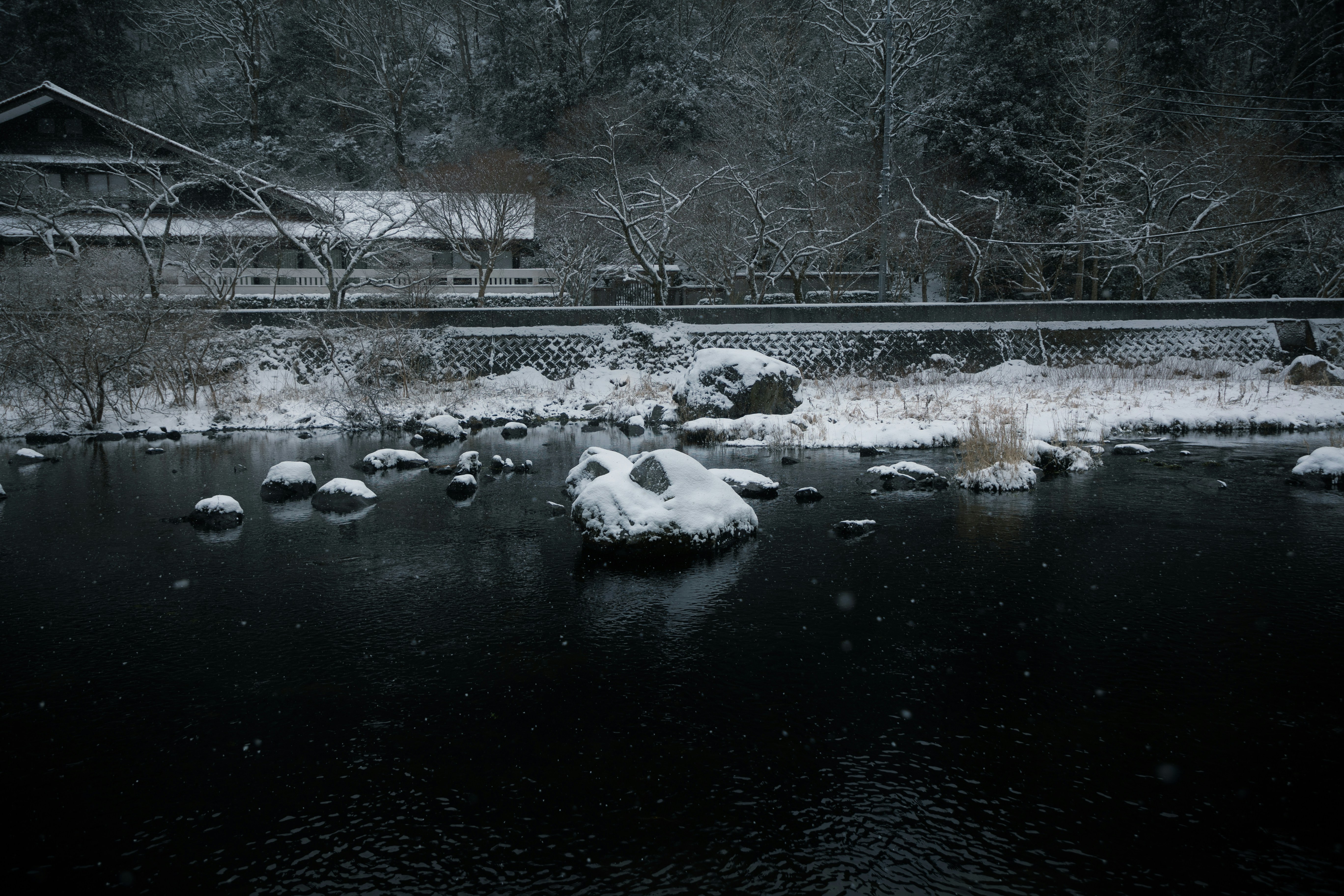 Photo by gakusuyama
