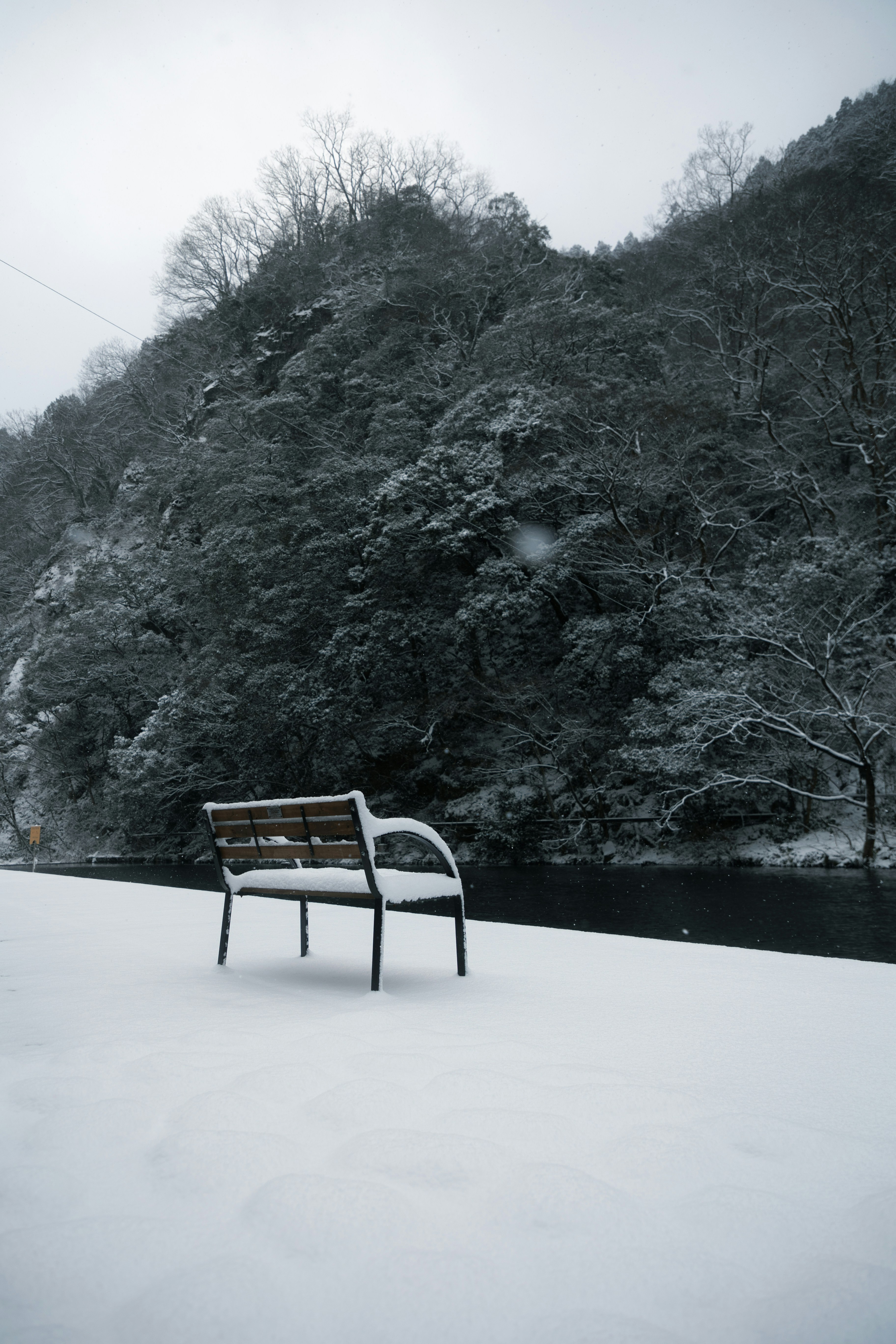 Photo by gakusuyama