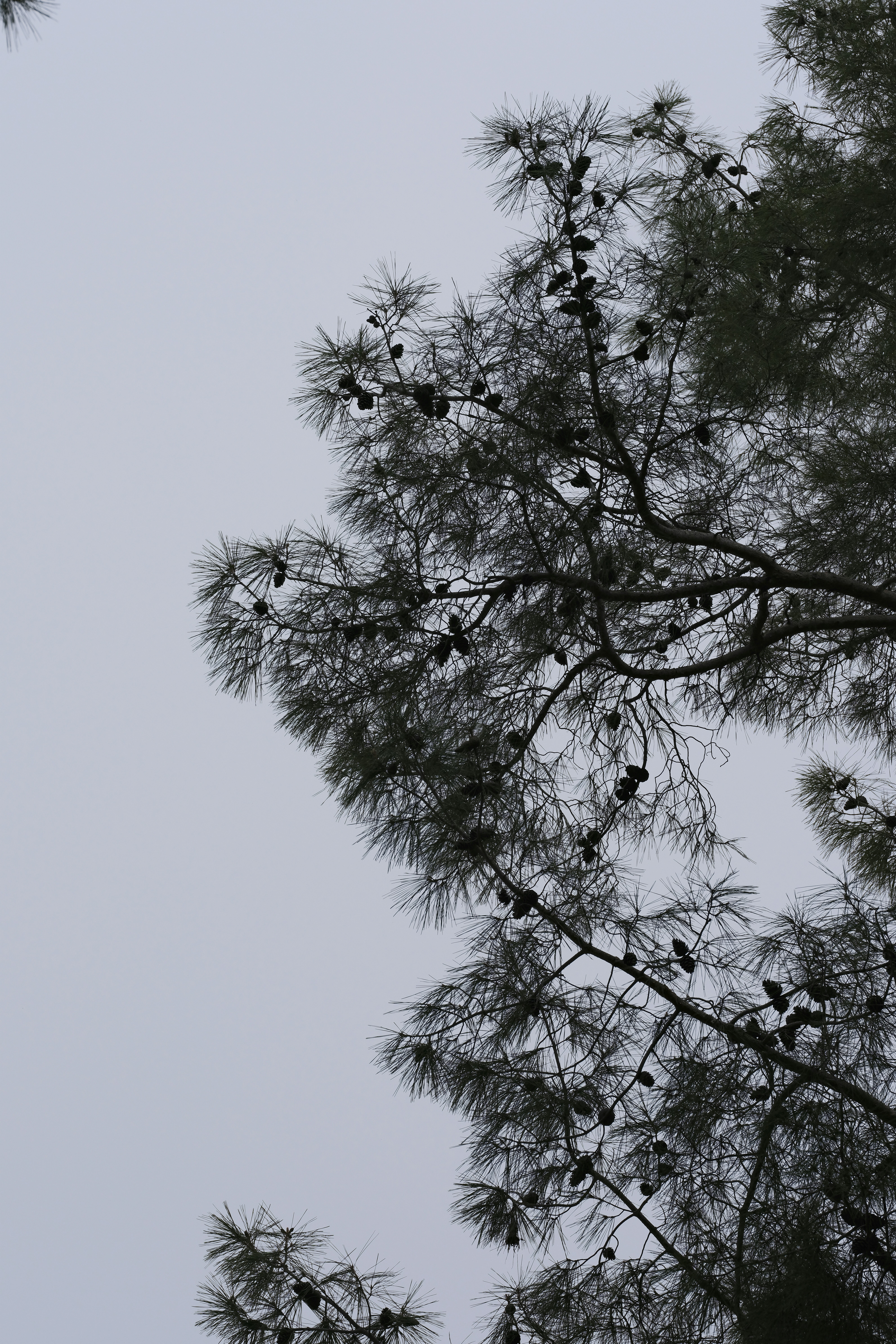 Photo by enginakyurt