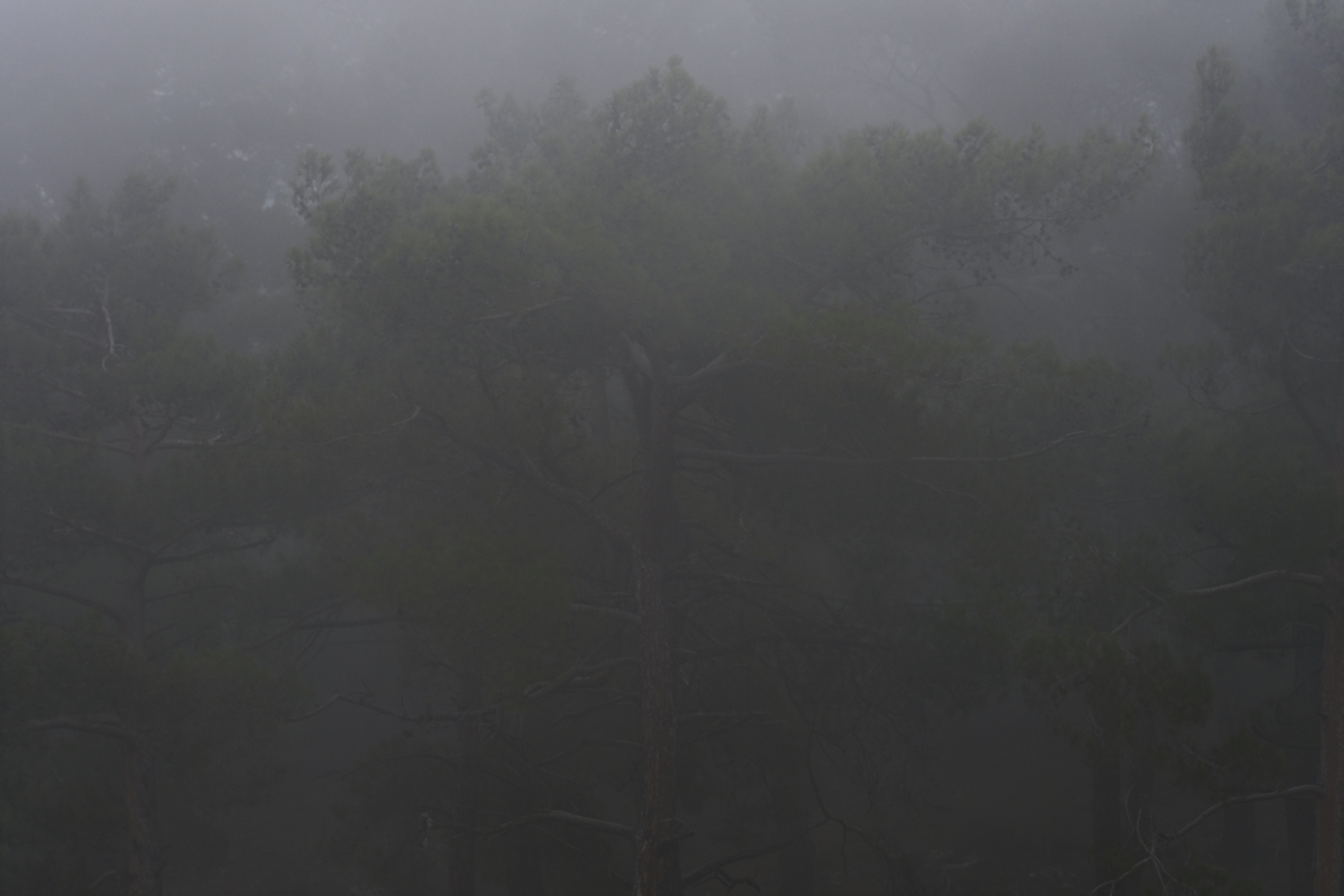 Photo by enginakyurt