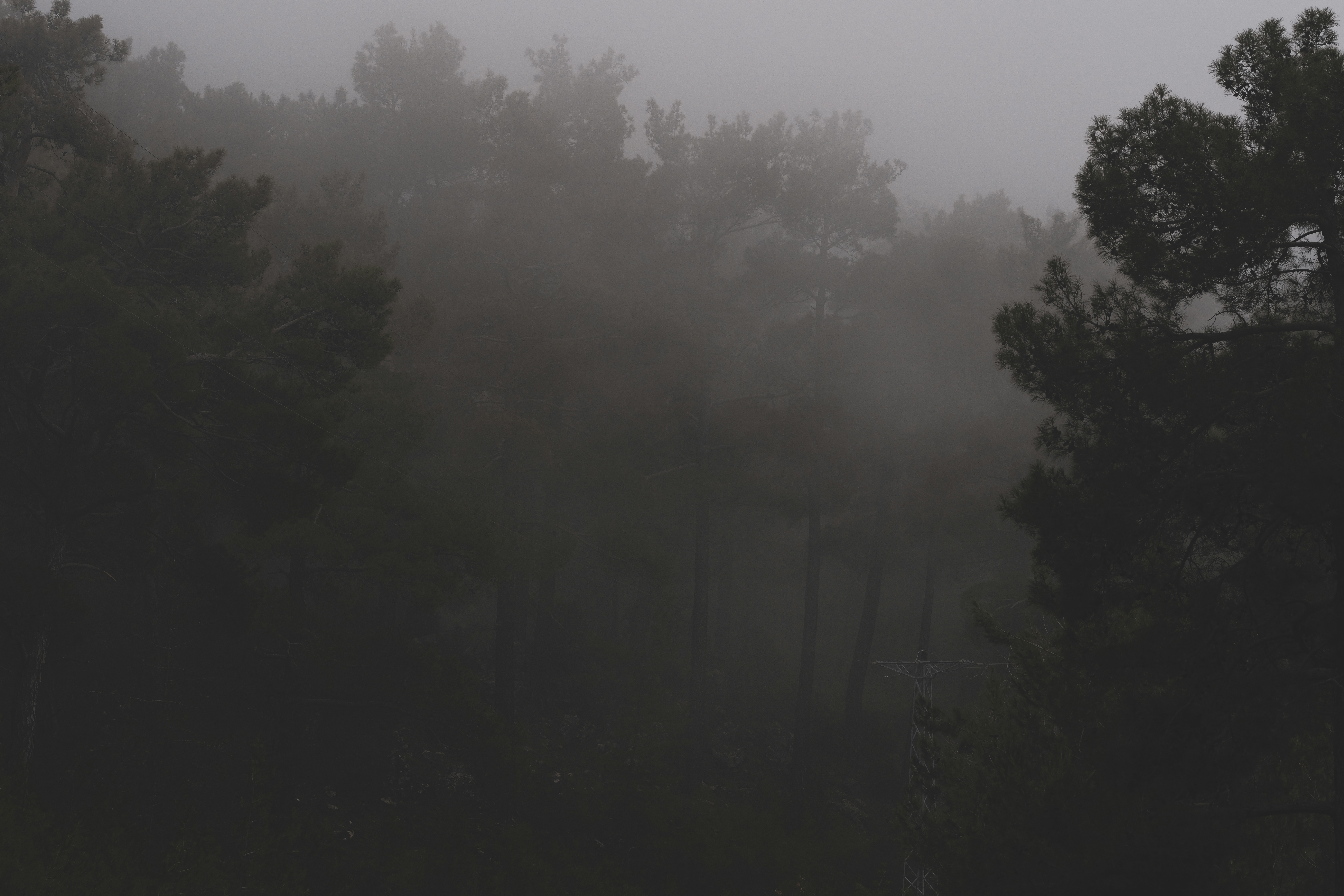 Photo by enginakyurt