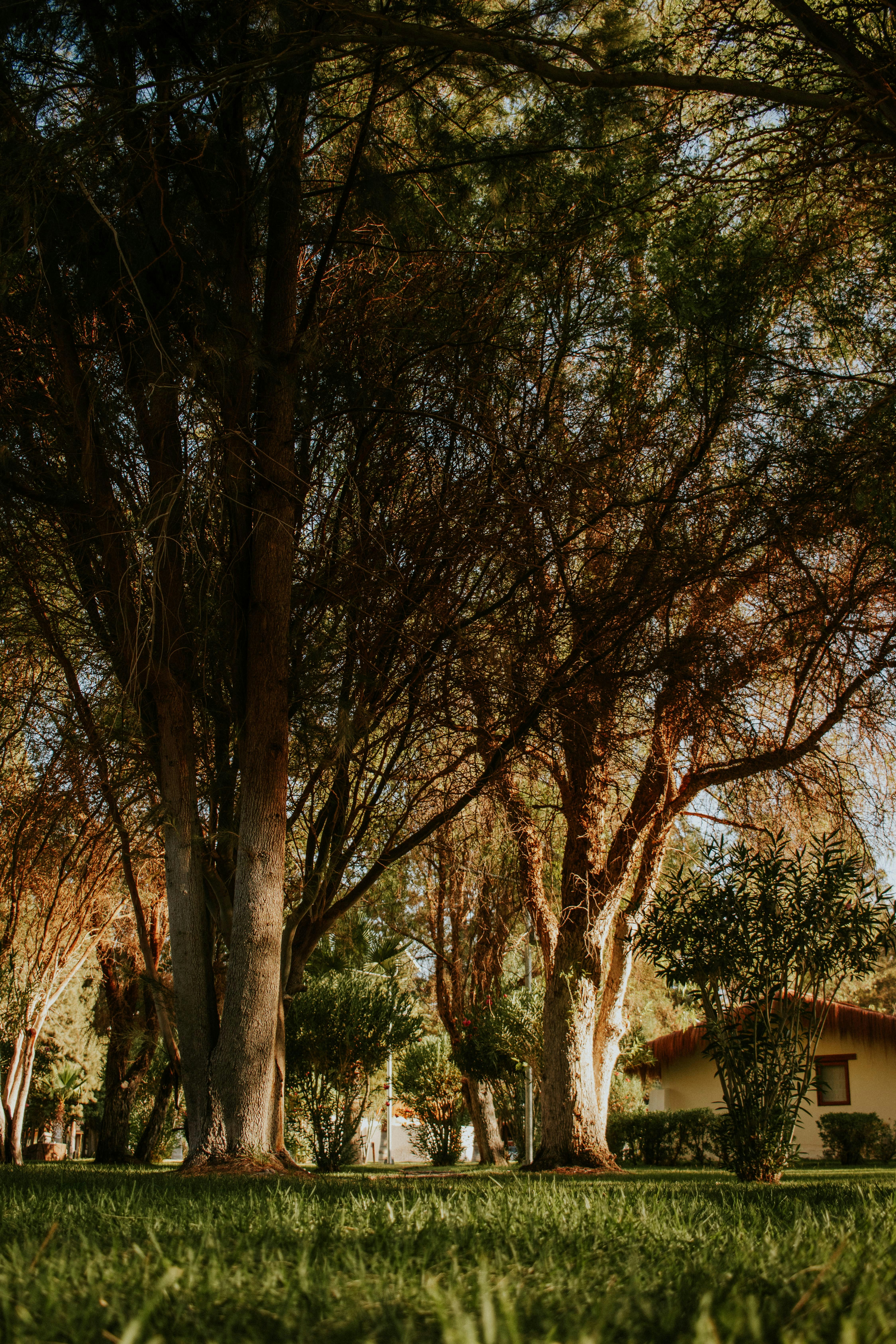 Photo by fotosdeljona