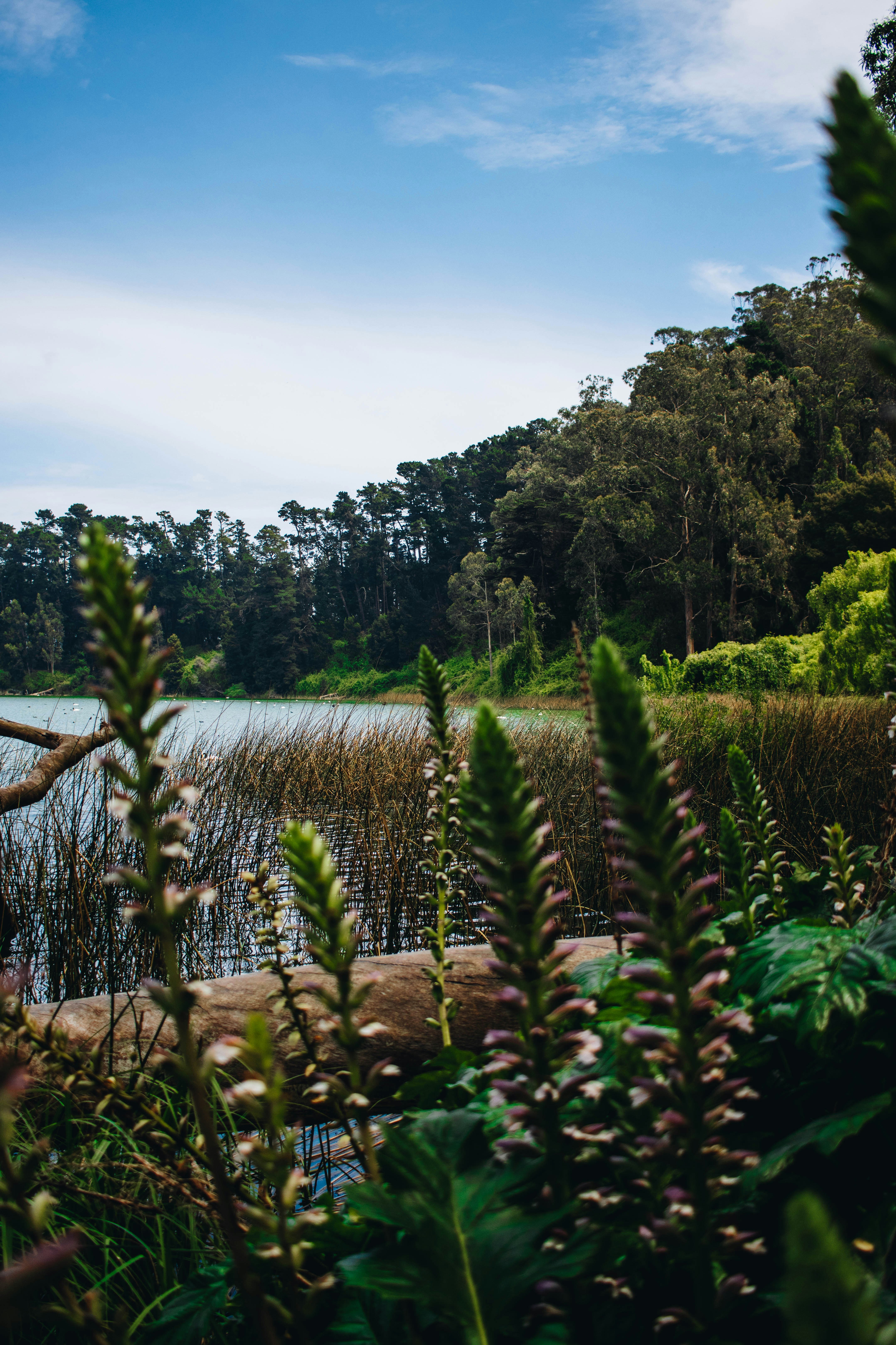 Photo by fotosdeljona