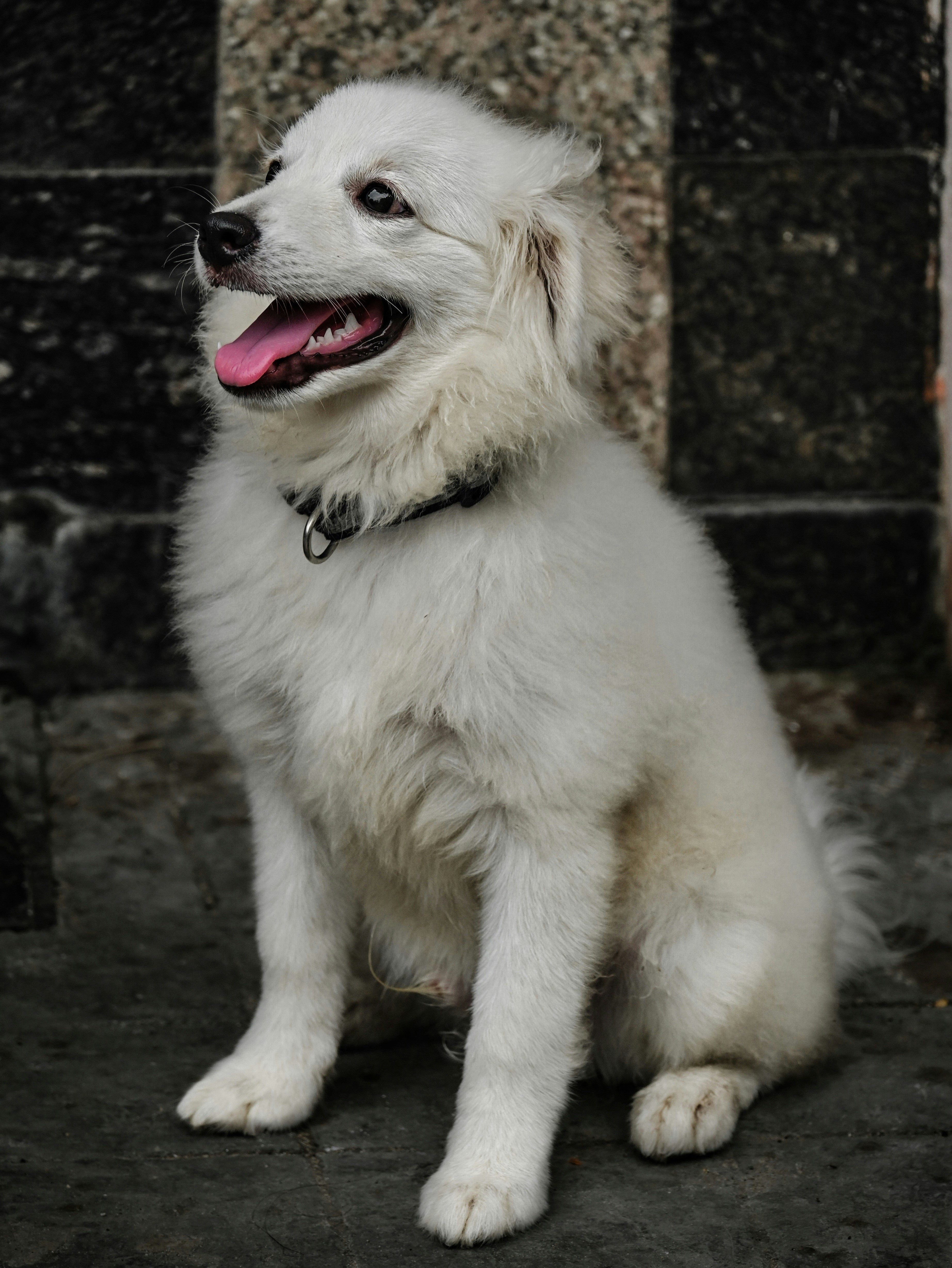 Photo by kolkatarchobiwala