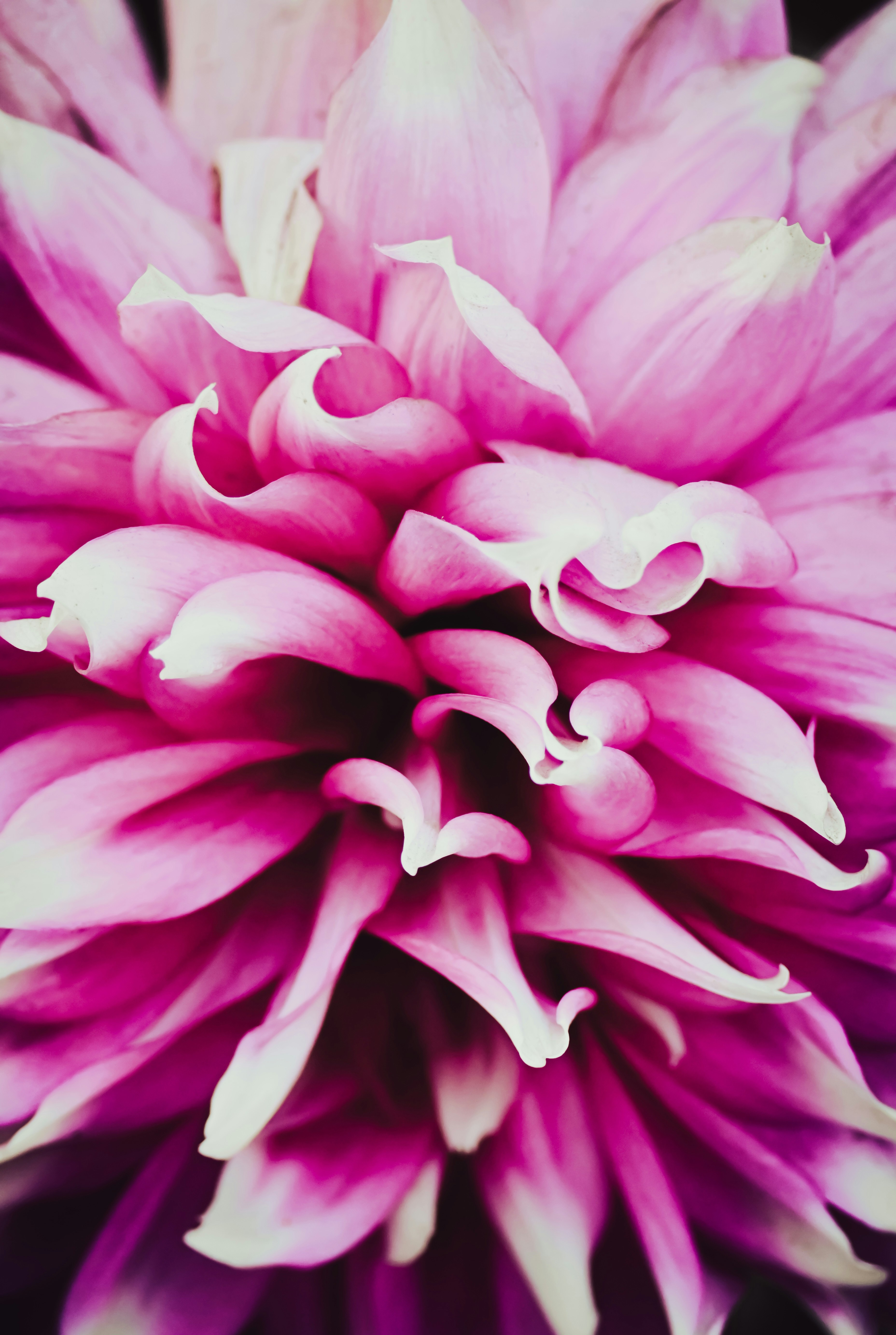 Photo by kolkatarchobiwala