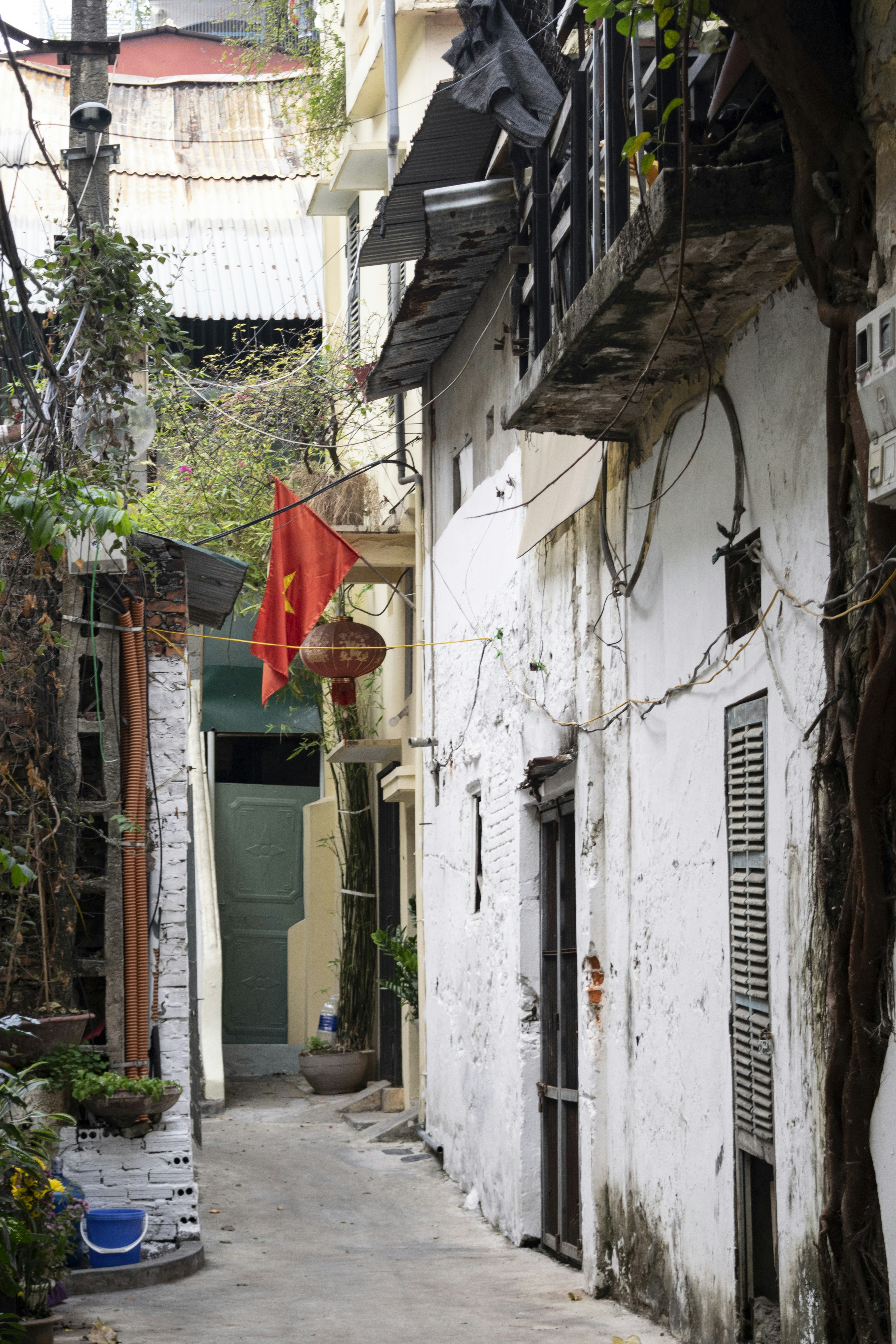 Photo by hoanganh_dreamplanie