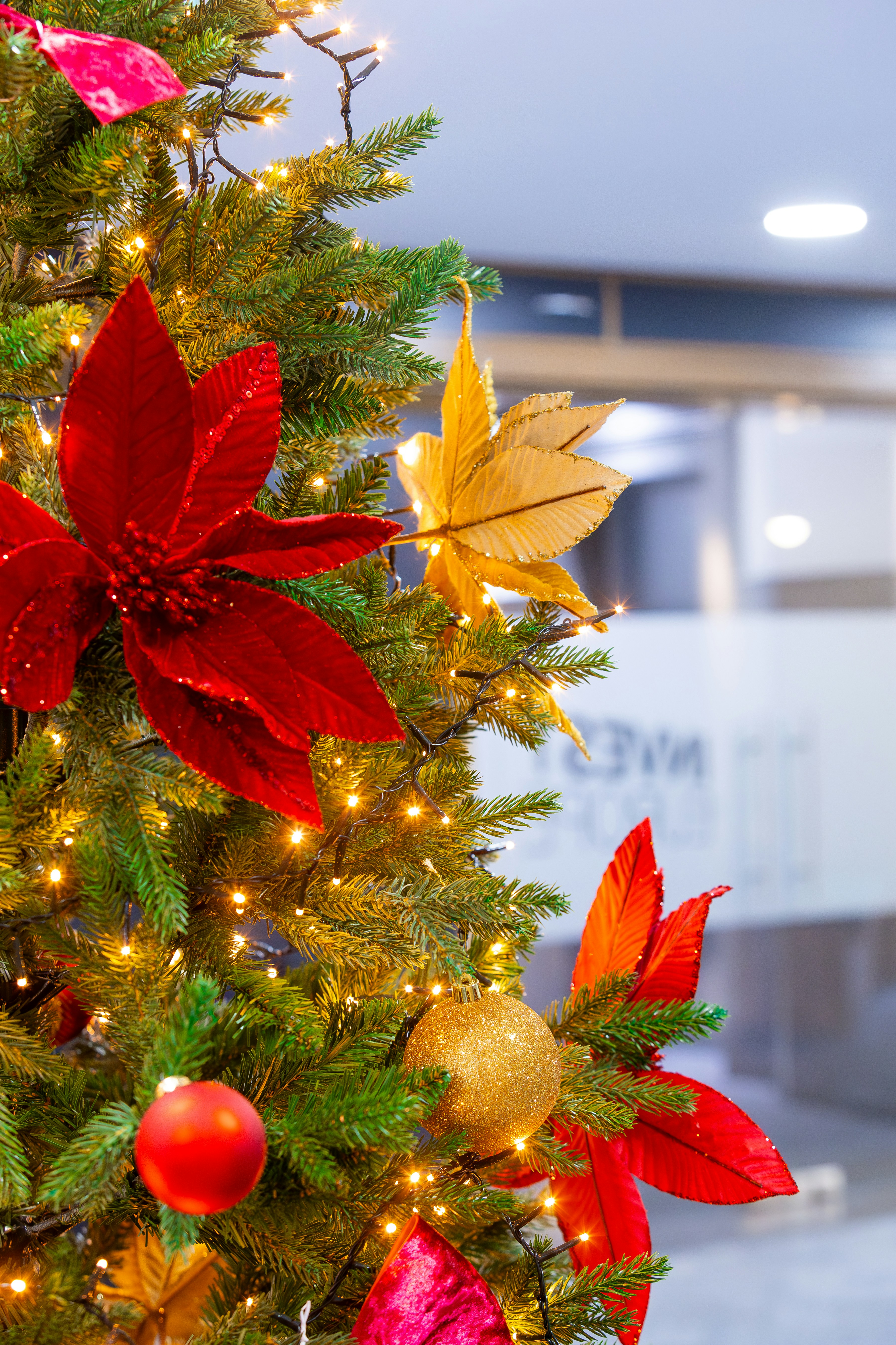 A christmas tree decorated with red and gold poinsettis
