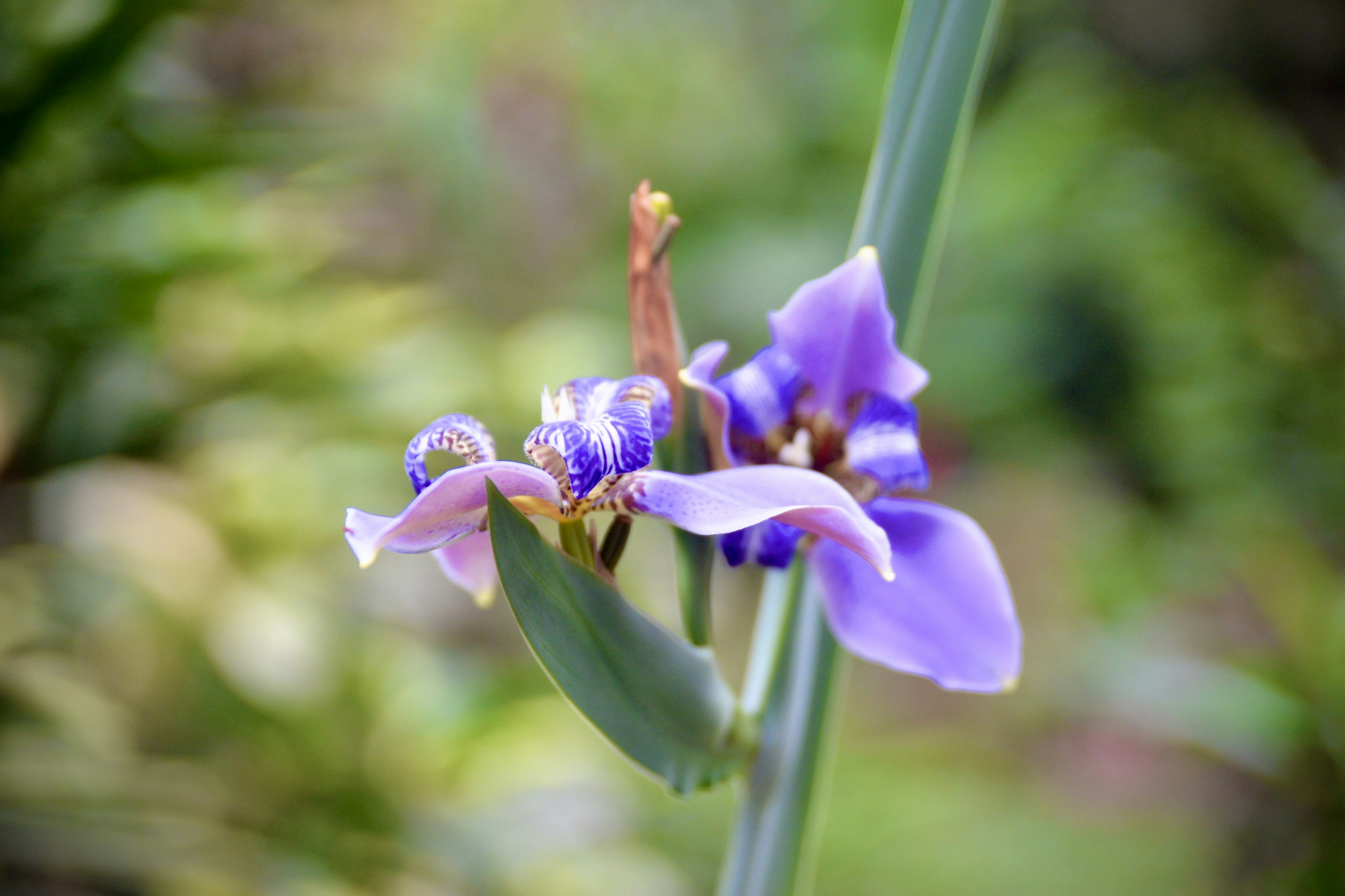 Photo by alexiscer69