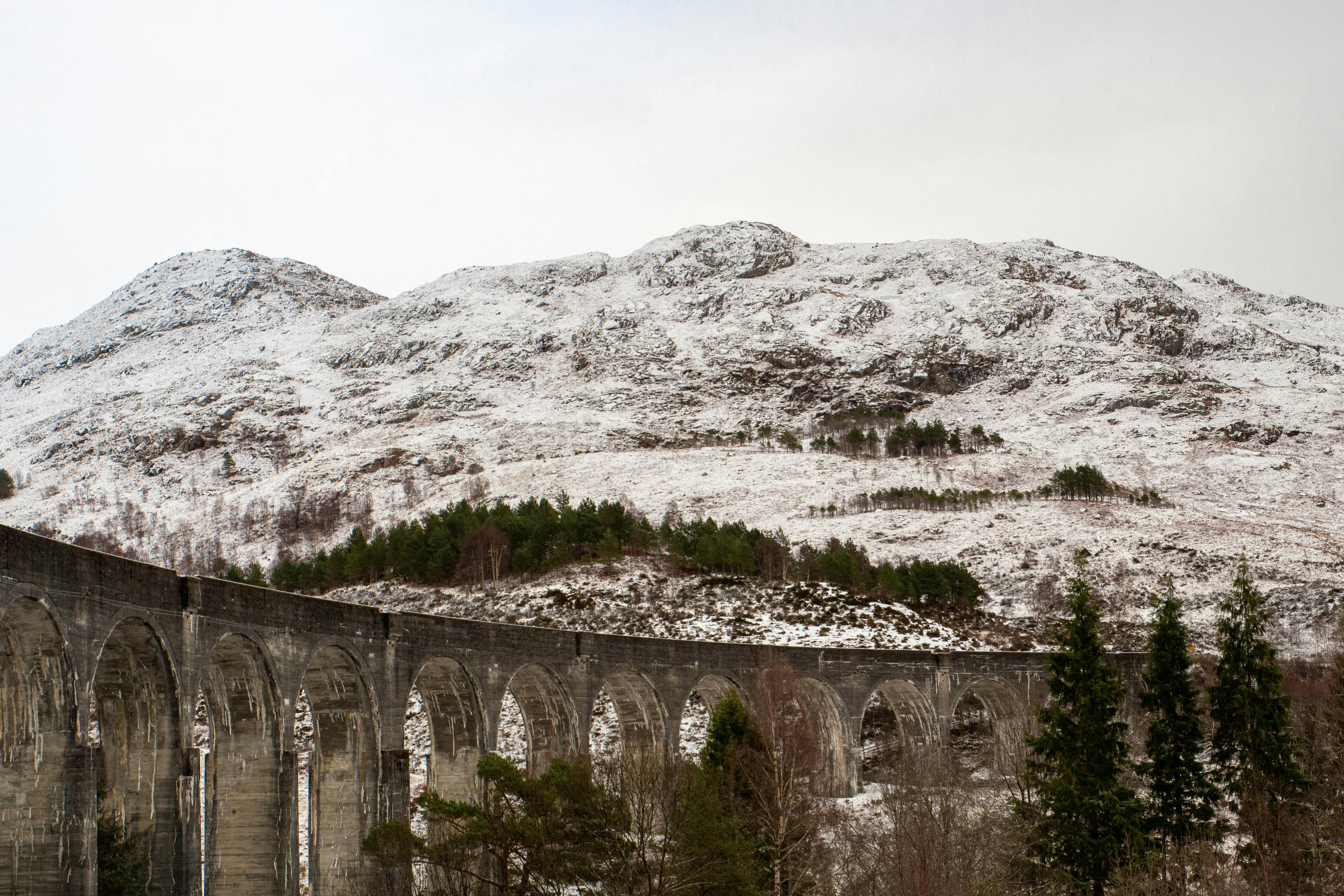 Im Hintergrund ist ein schneebedeckter Berg zu sehen