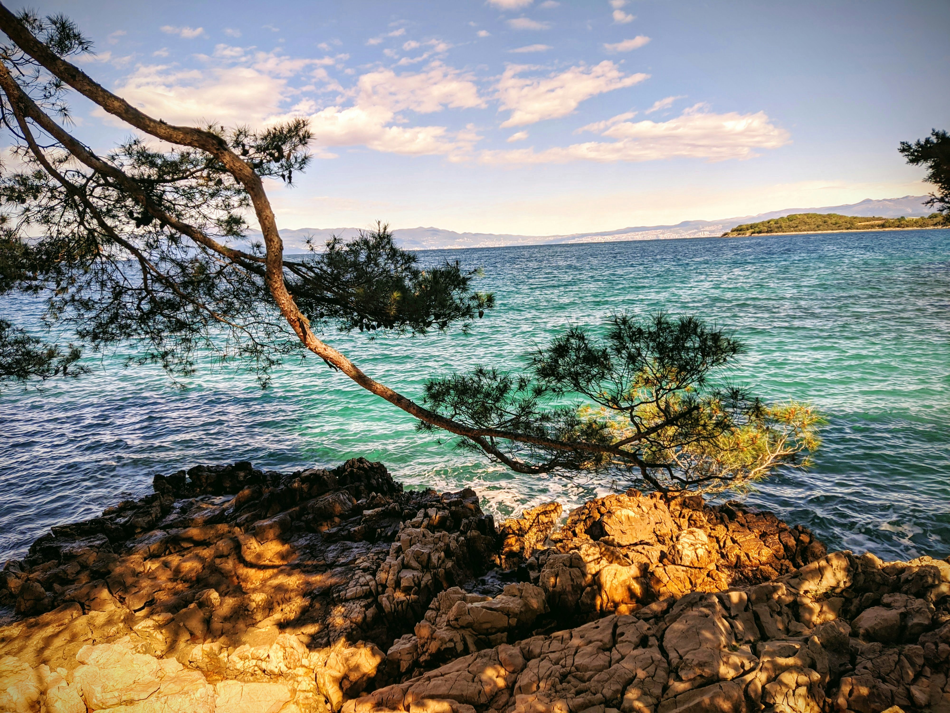 Photo by markolicina