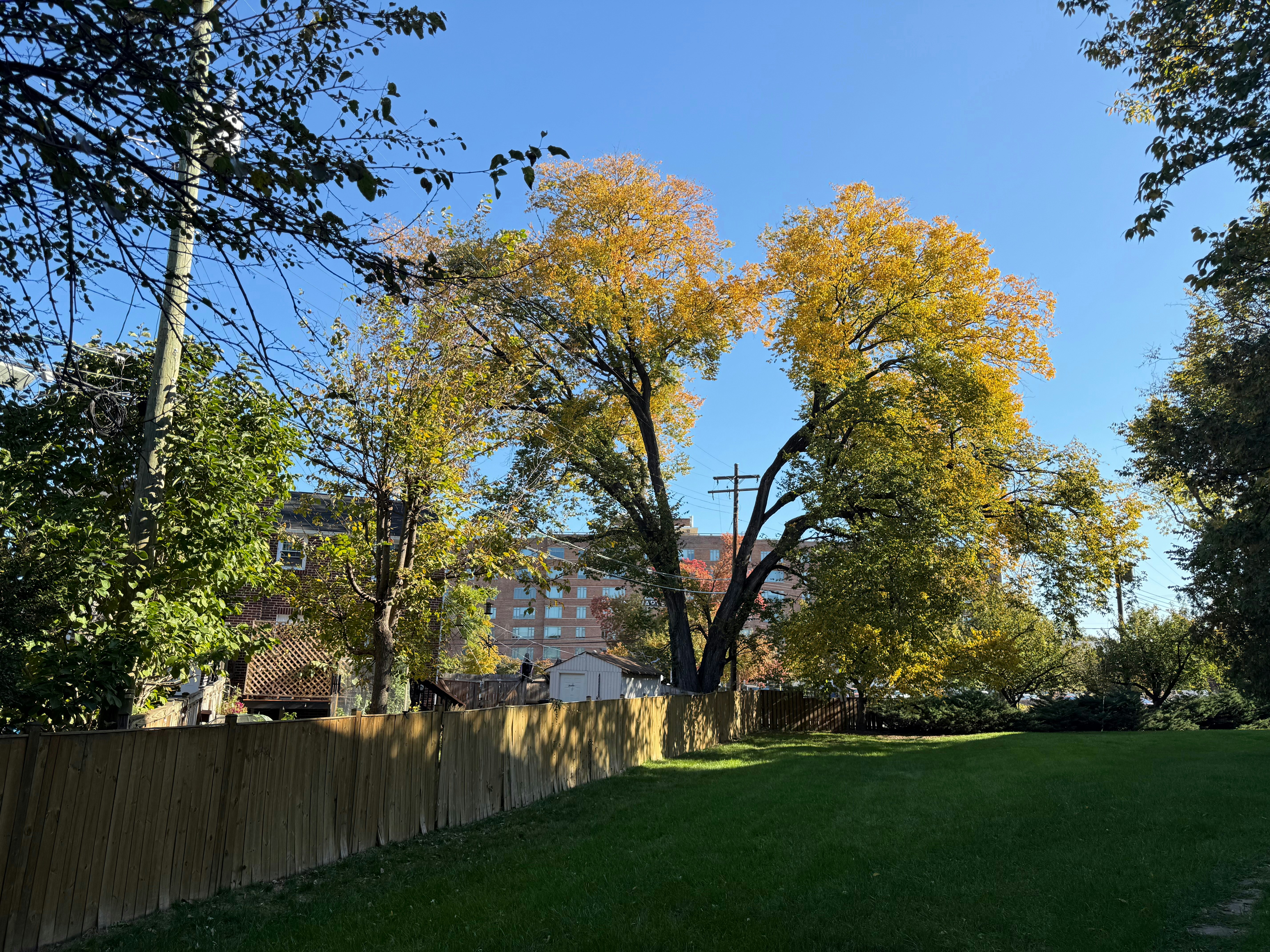 Photo by livingfor52