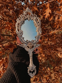 A person holding a mirror in their hand