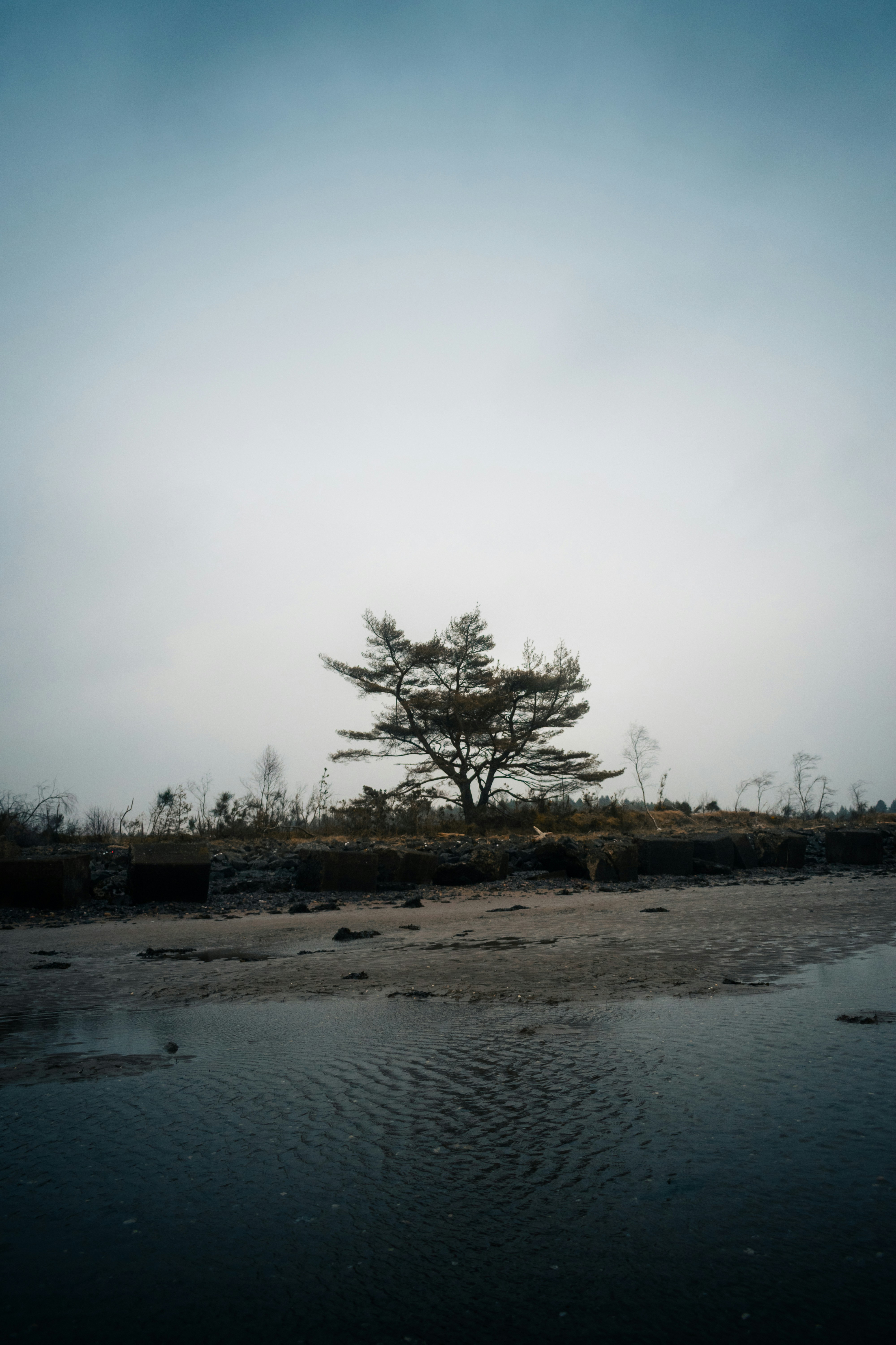 Photo by saulbanderaxi
