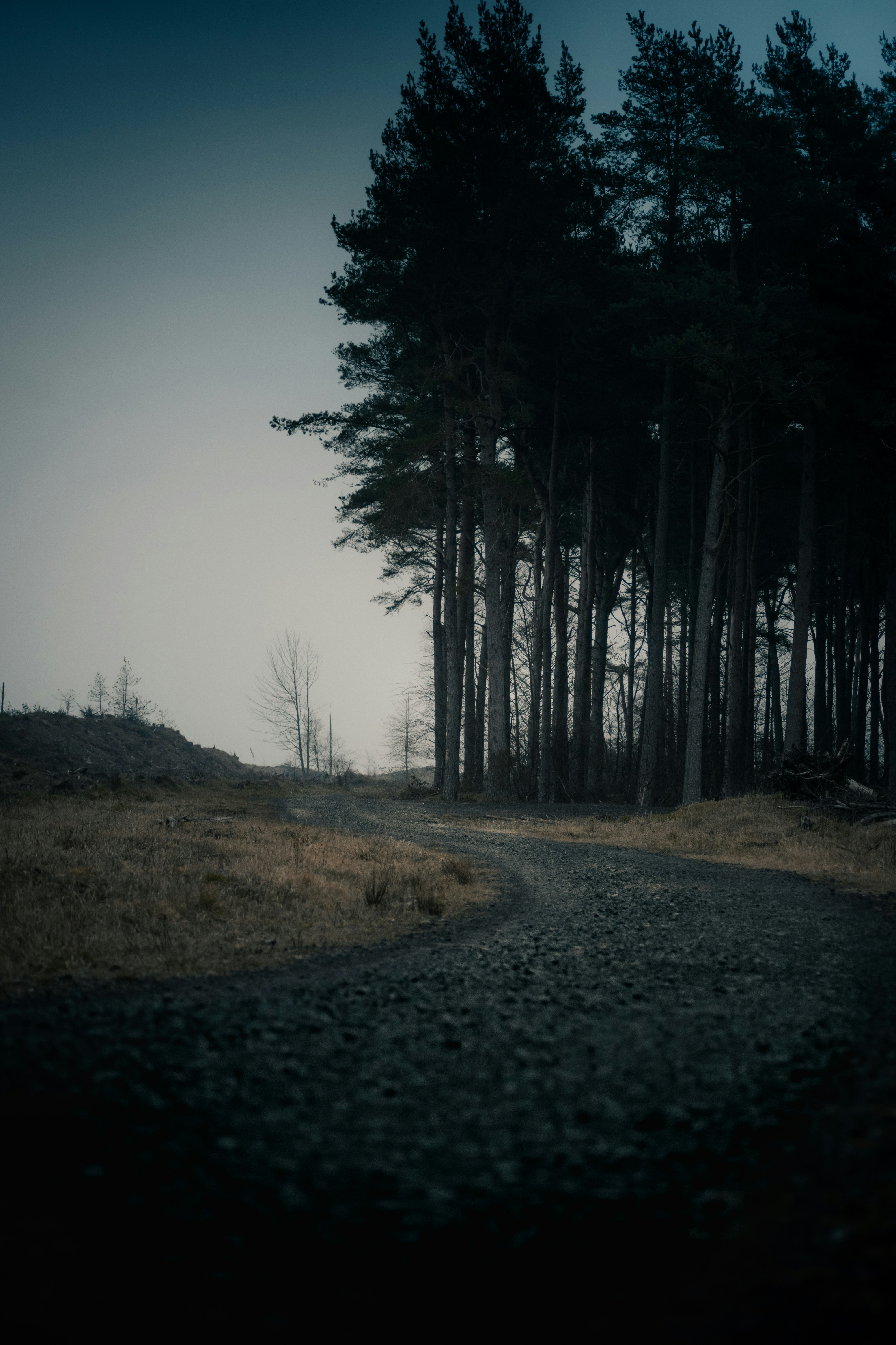 Photo by saulbanderaxi