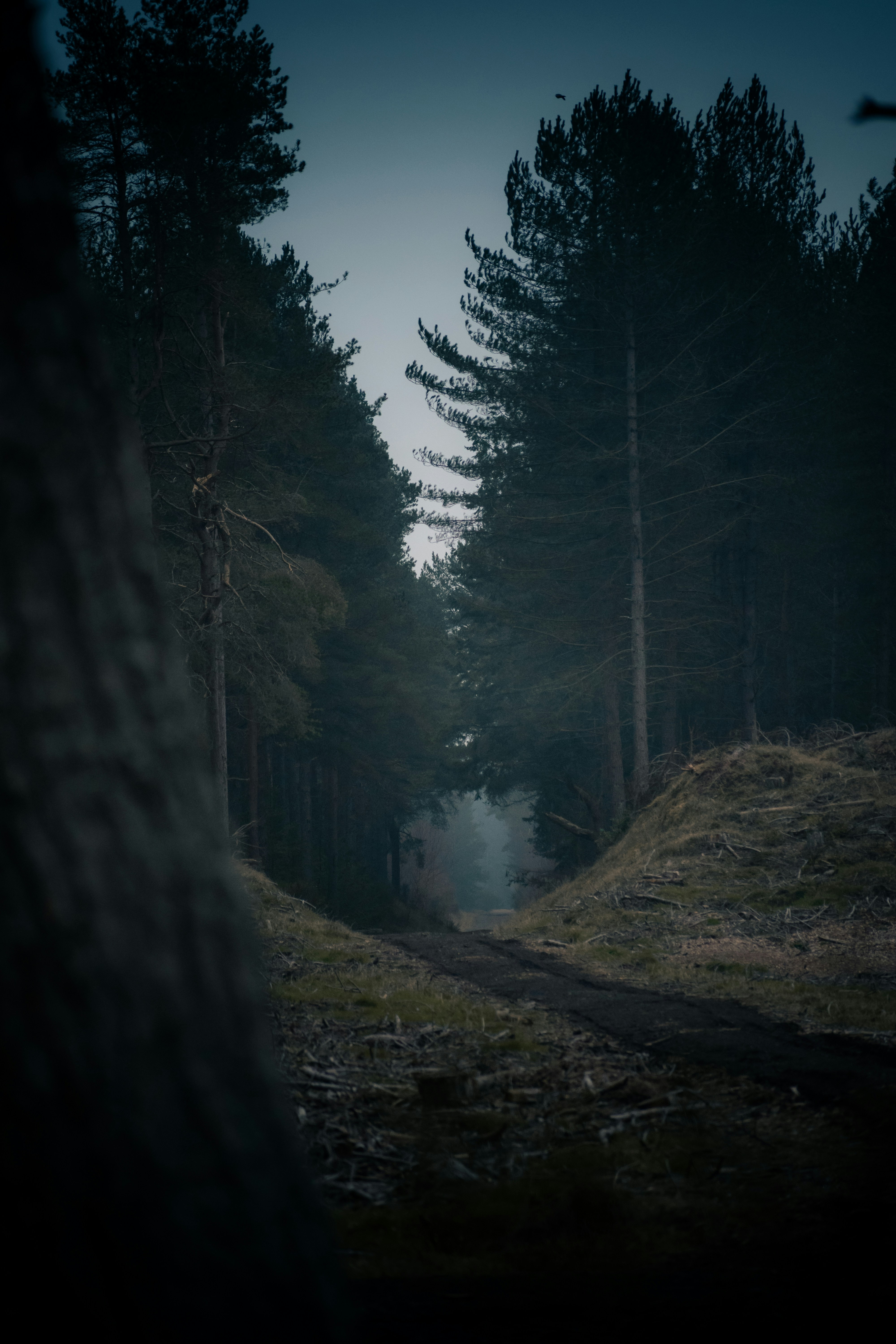 Photo by saulbanderaxi