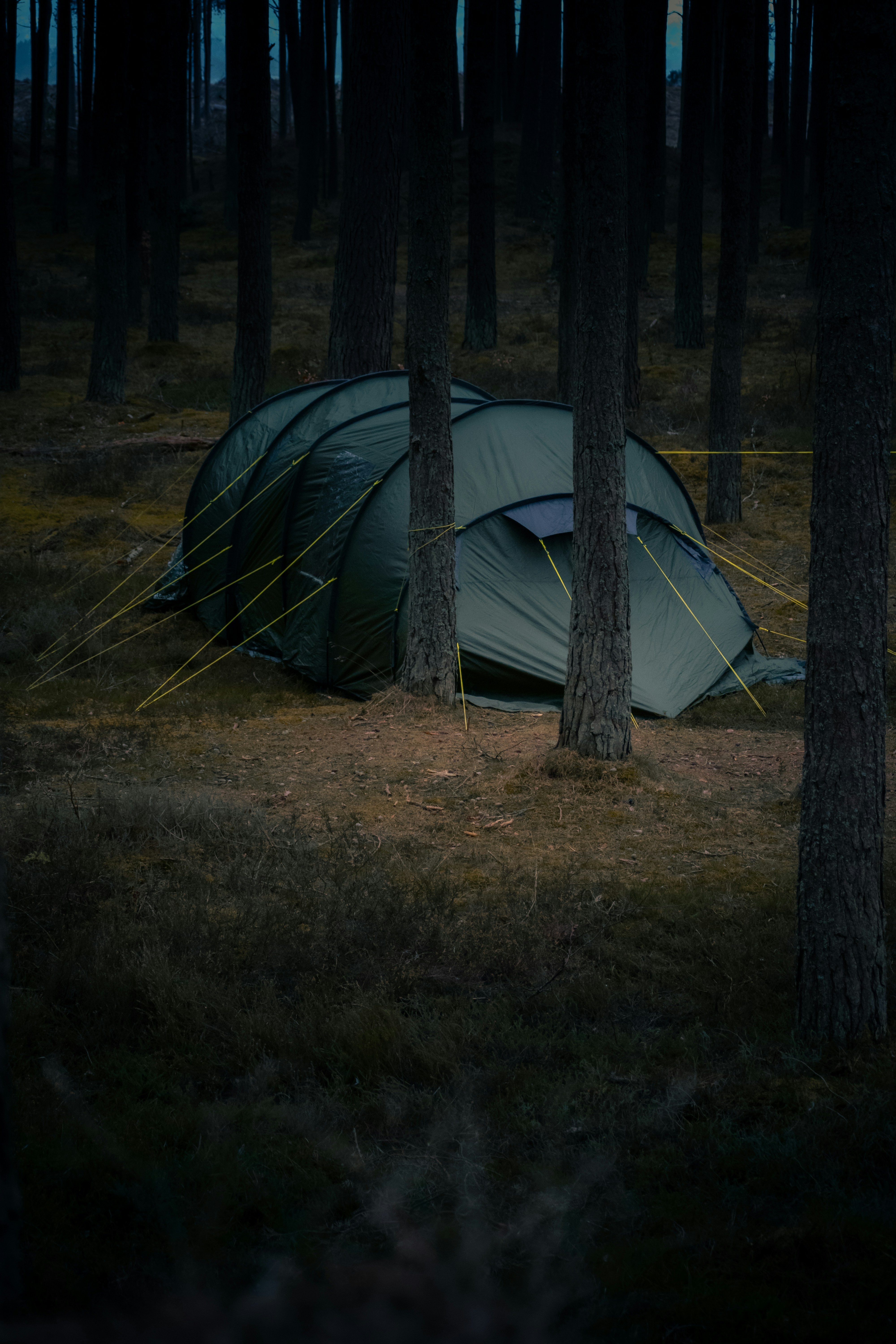 A tent in the middle of a forest at night
