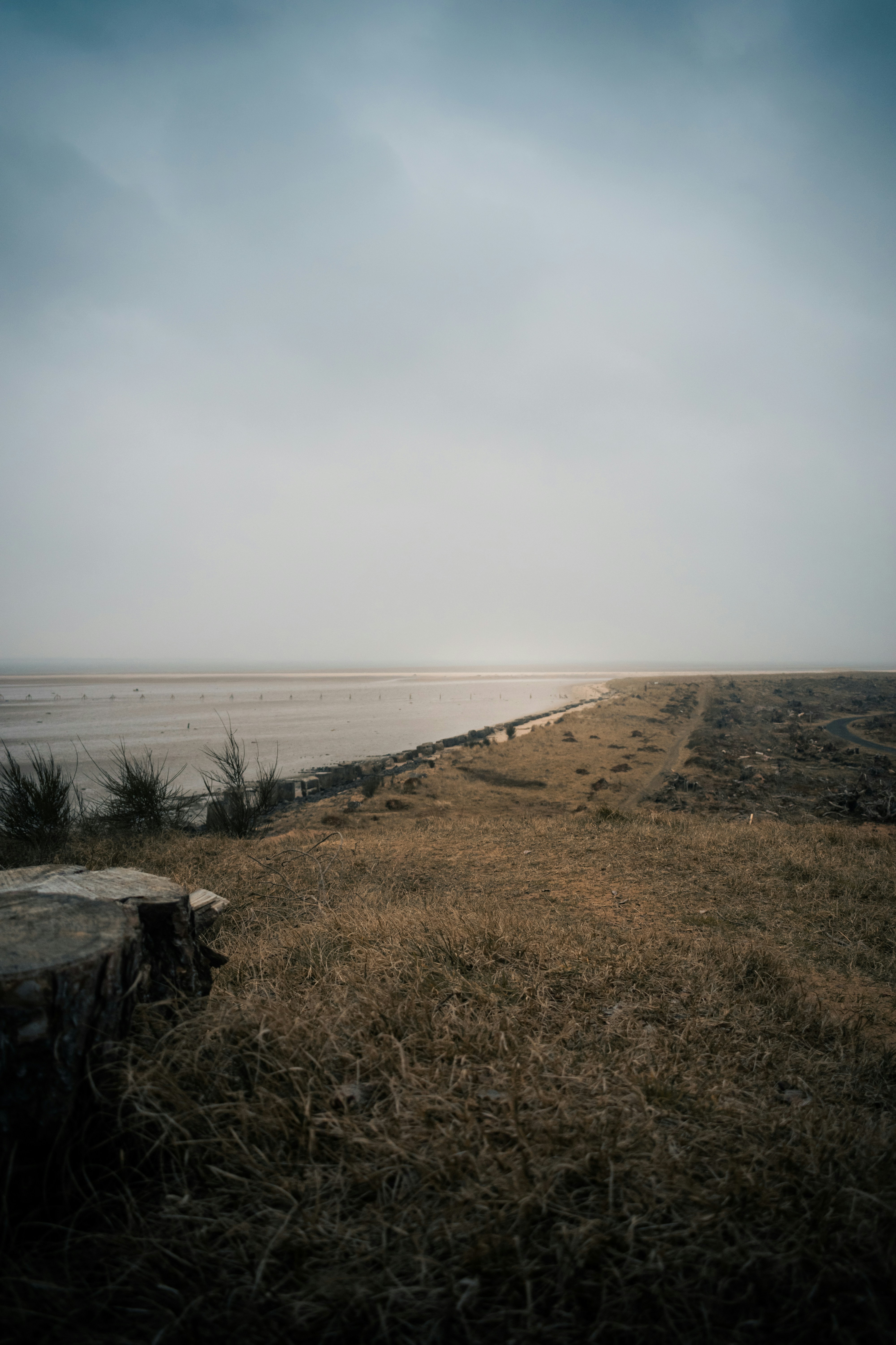 Photo by saulbanderaxi