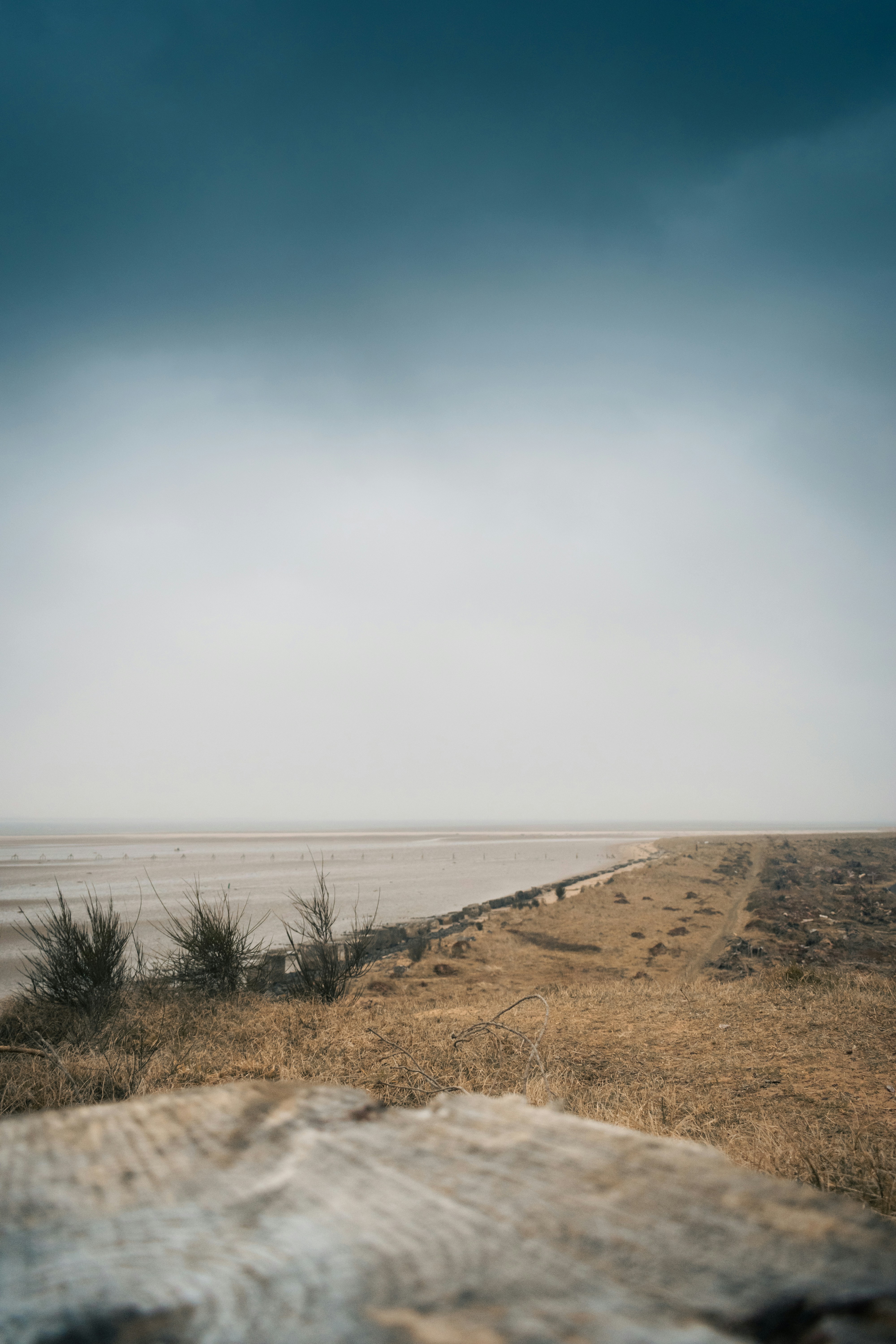 Photo by saulbanderaxi