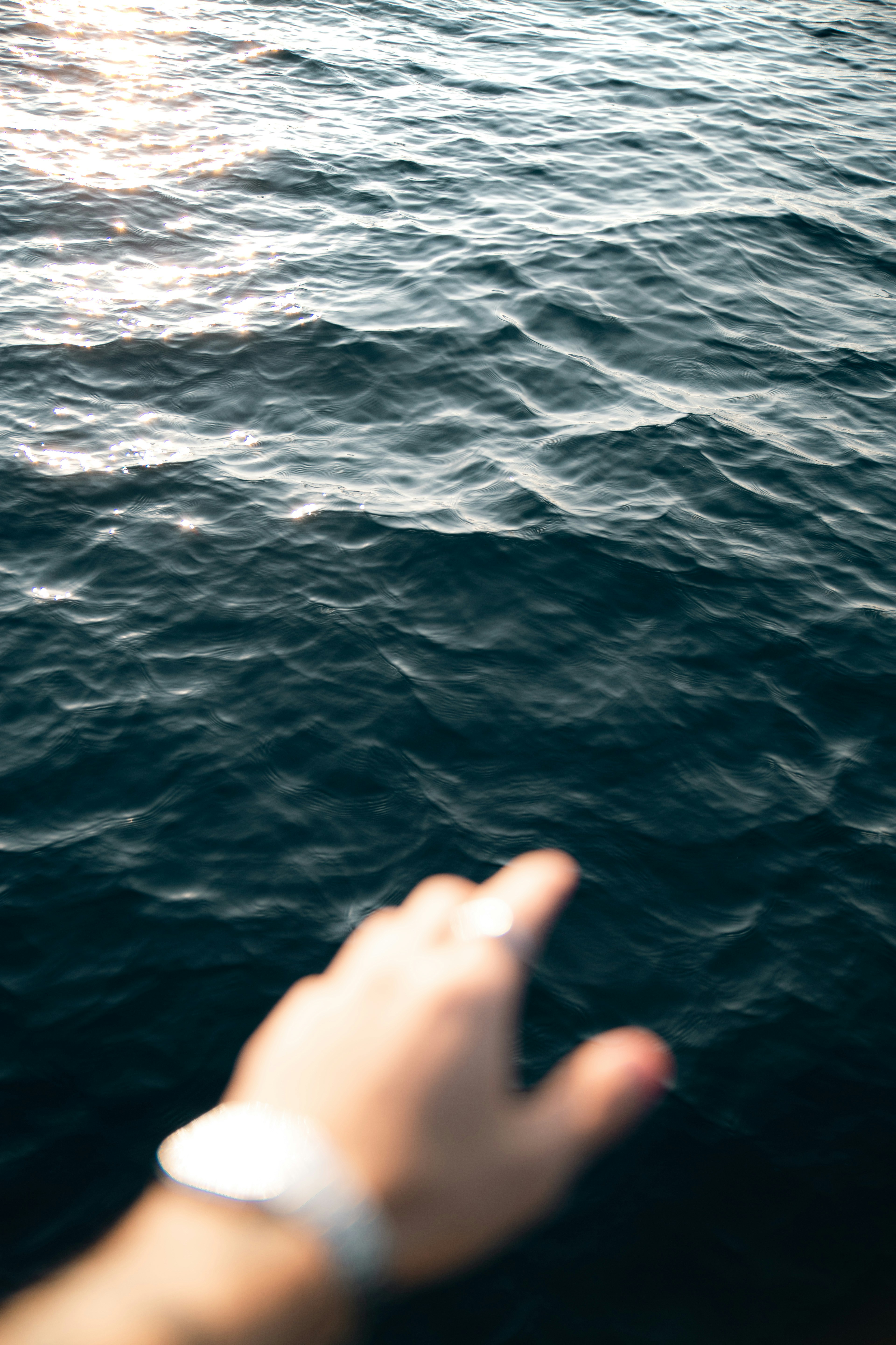 Photo by yigitarisoy