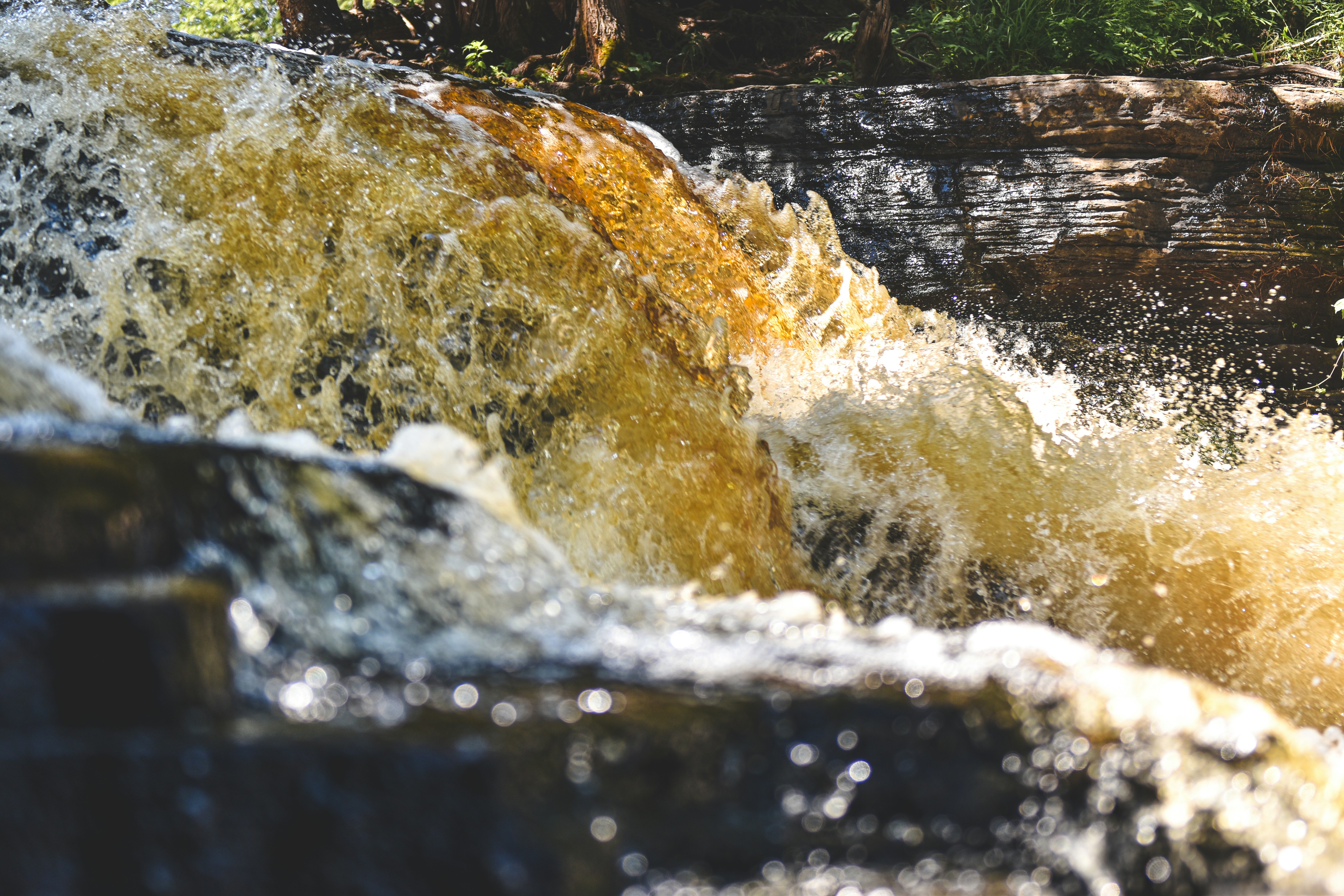 Photo by freefolkphoto