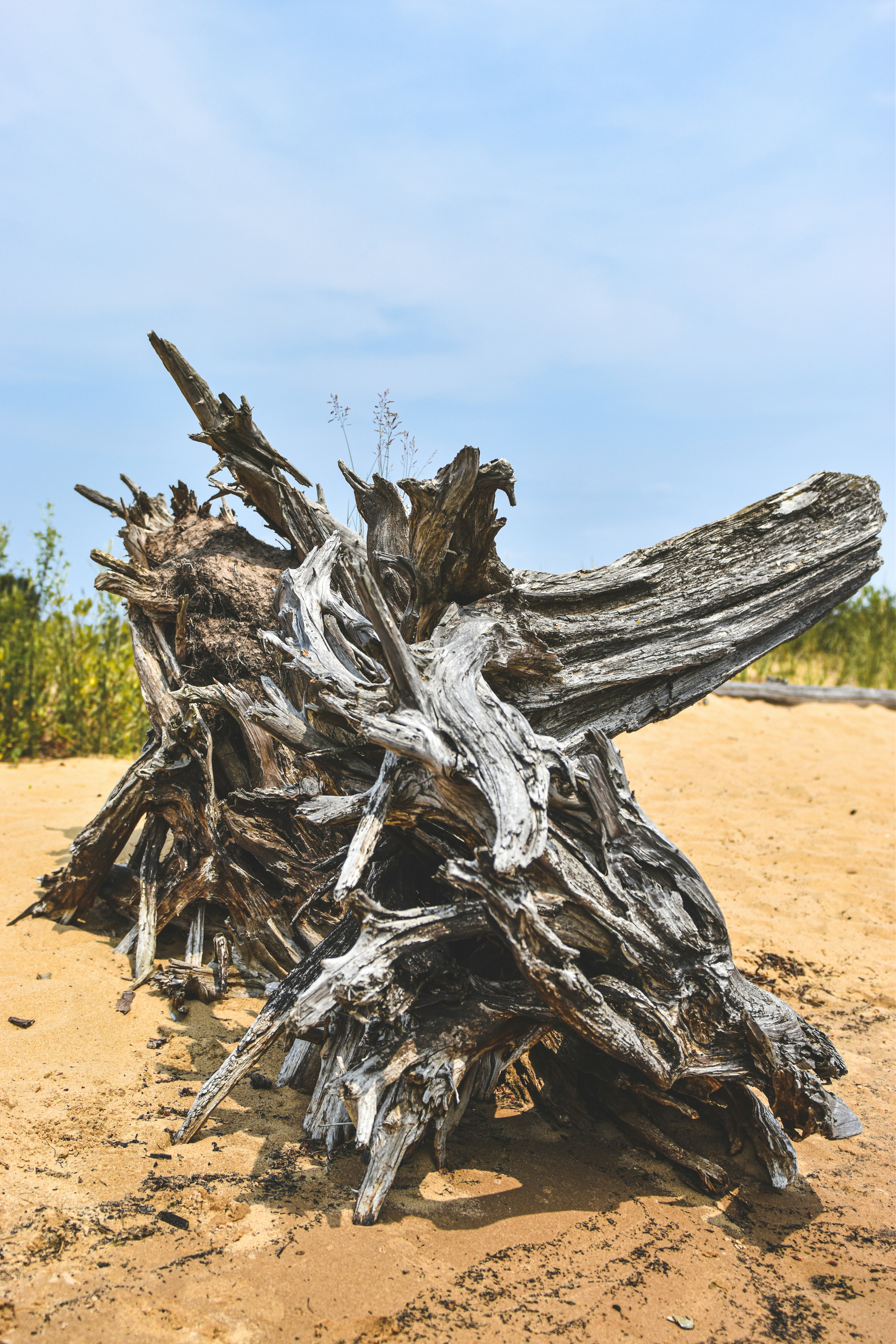 Photo by freefolkphoto