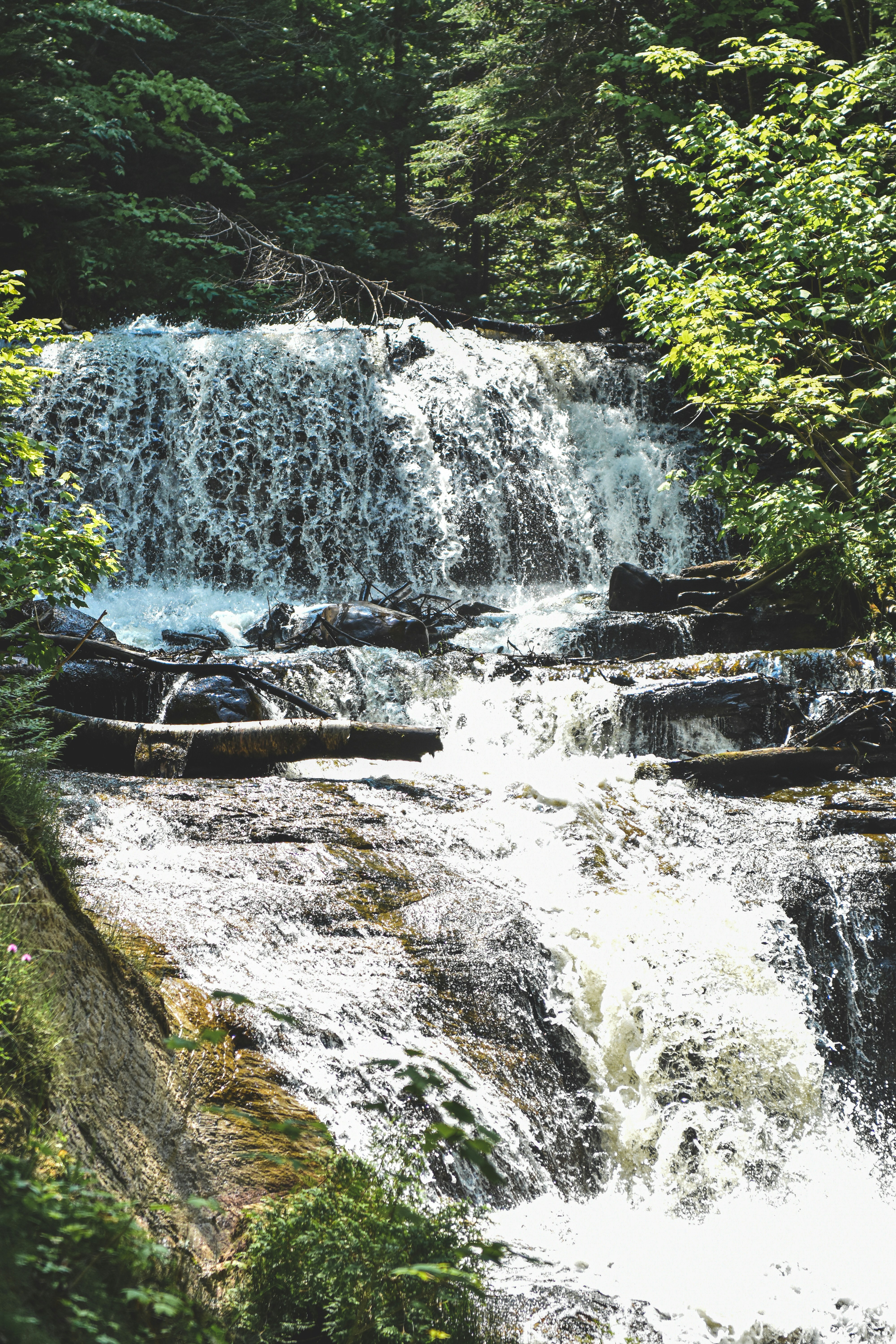 Photo by freefolkphoto