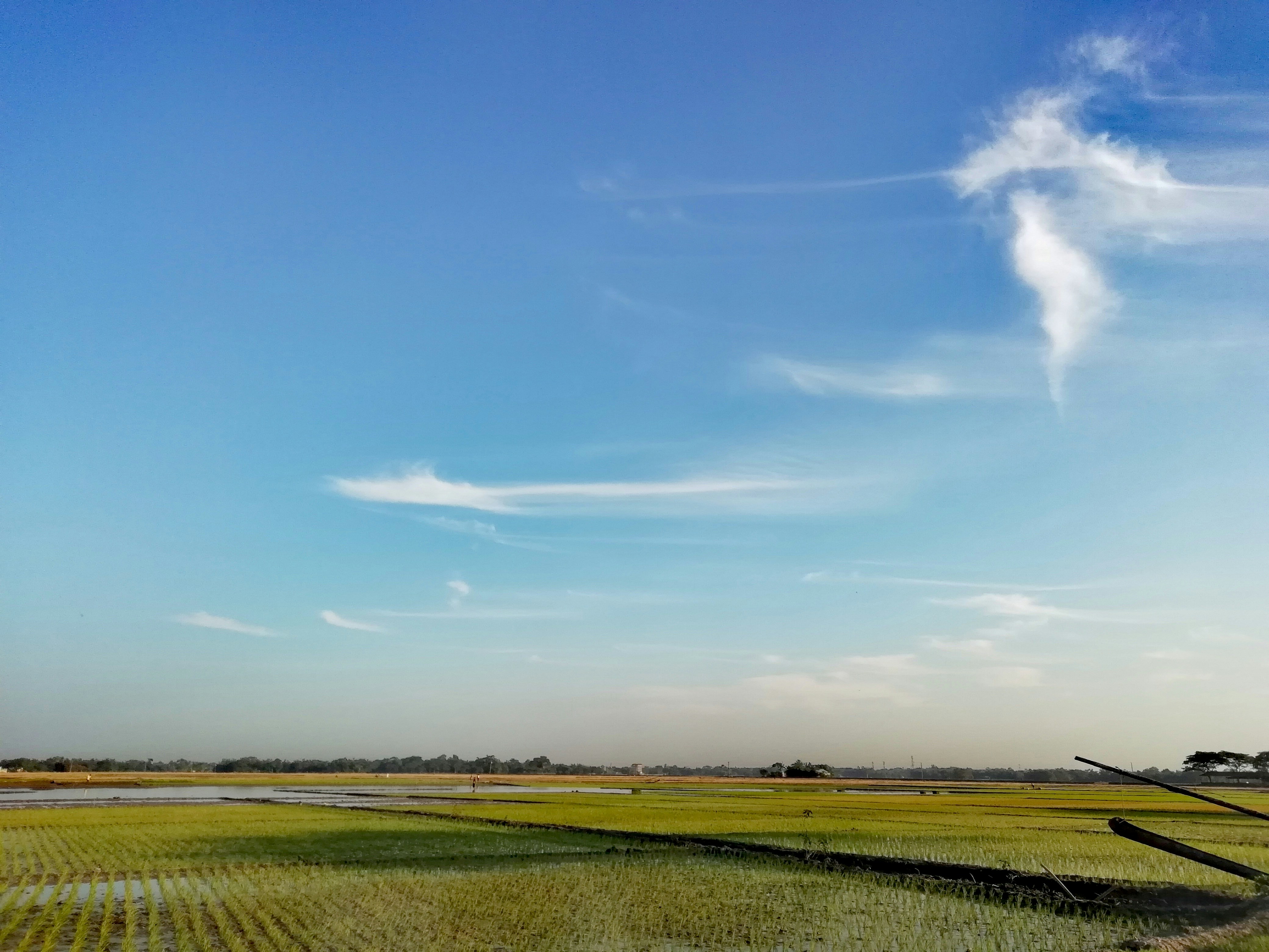 Photo by mosaddaktamal