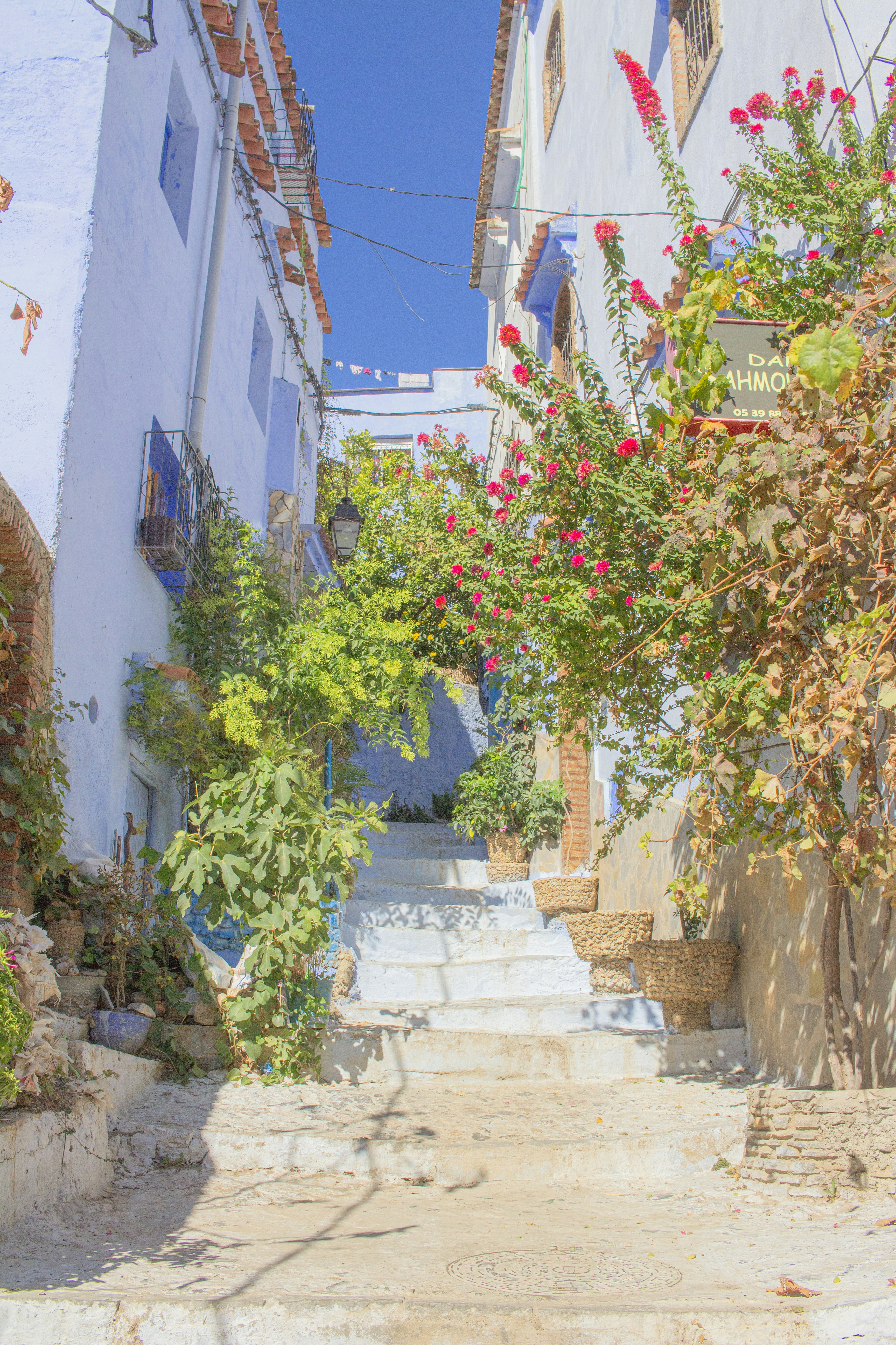 Photo by jewadalnabi