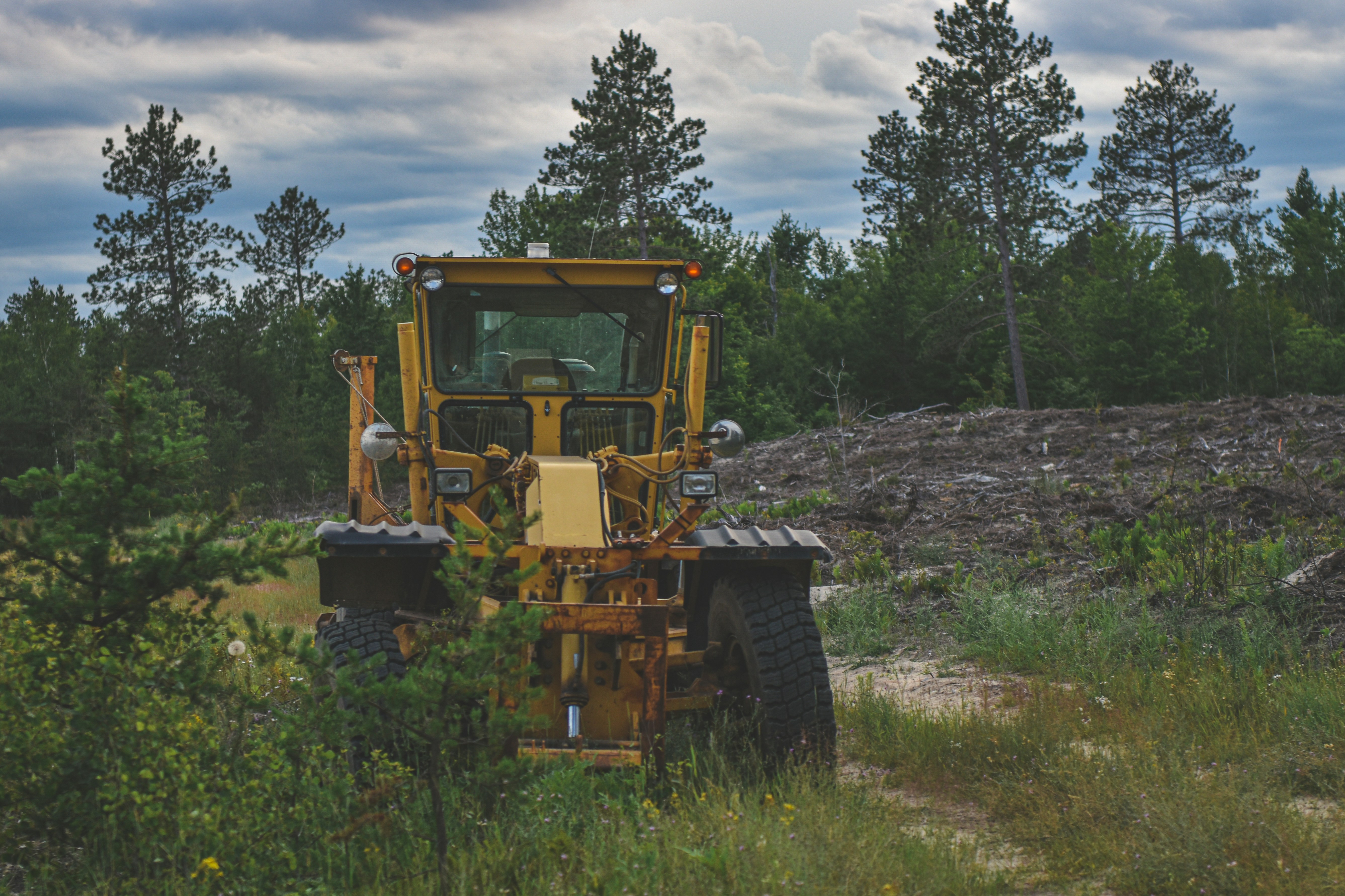 Photo by freefolkphoto