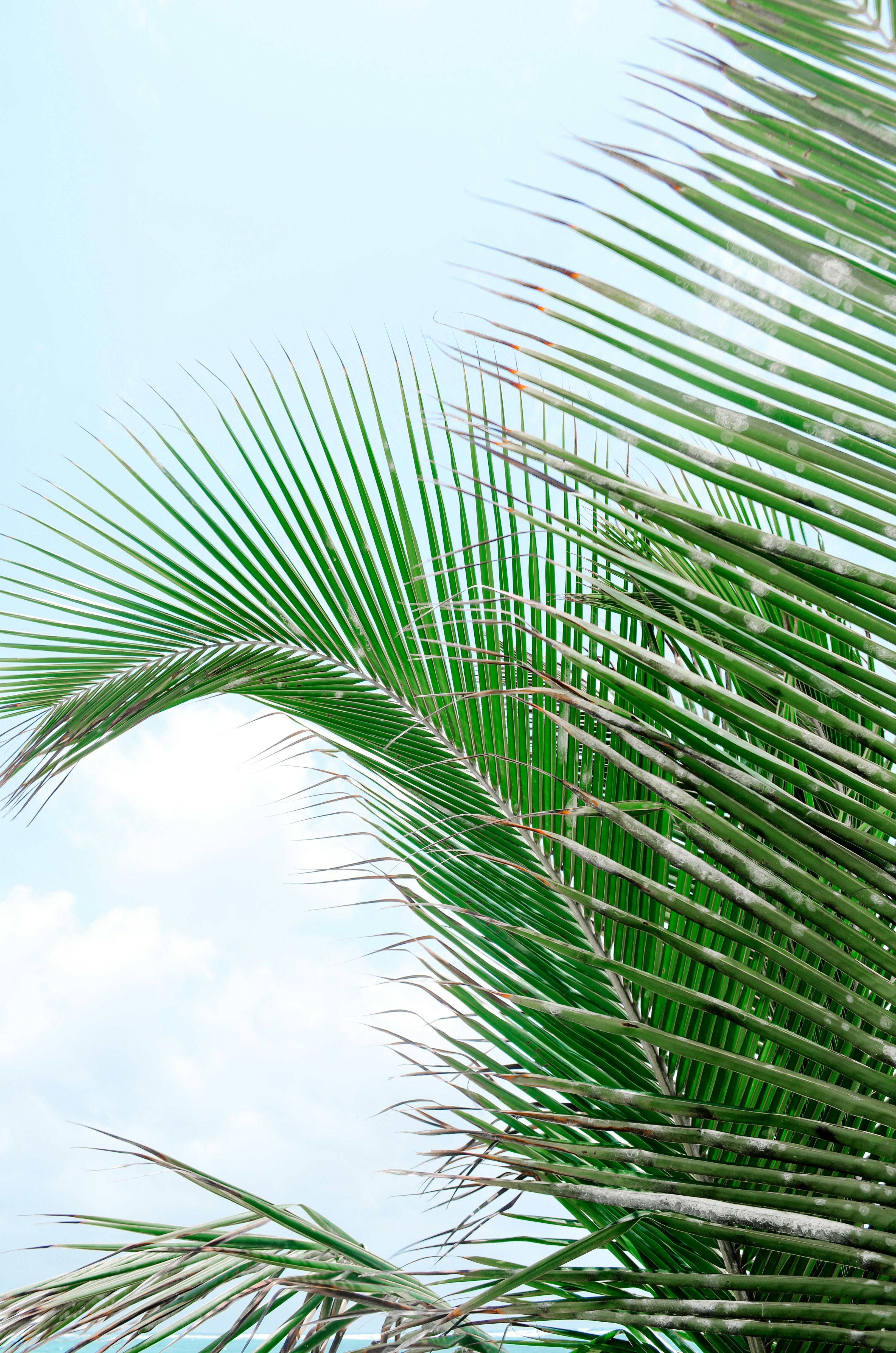 Photo by rita_rozenberga_photography