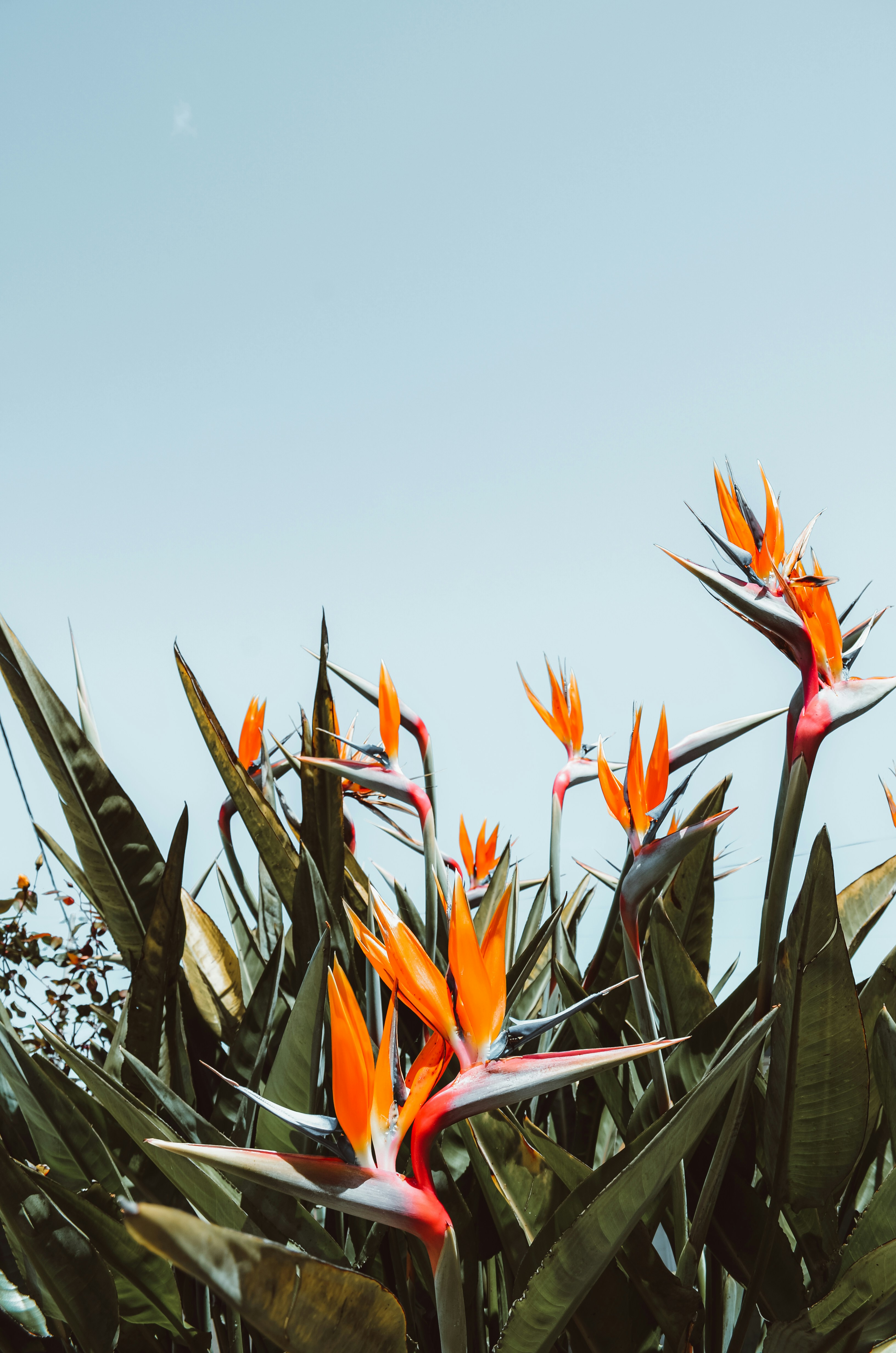 Photo by rita_rozenberga_photography