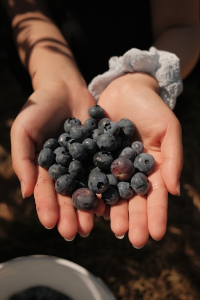 A person holding a bunch of blueberries in their hands