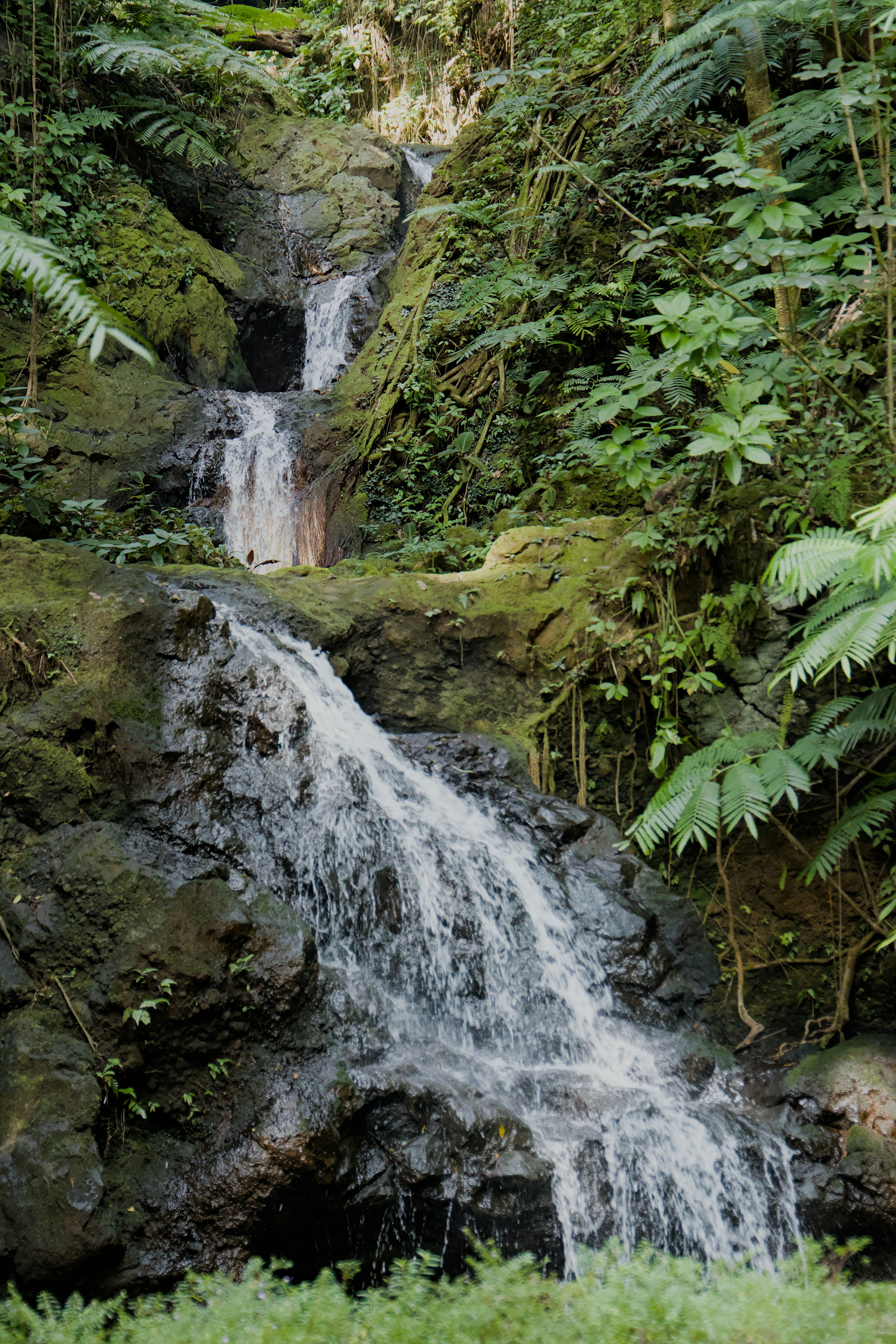 Photo by carbonmonoxide