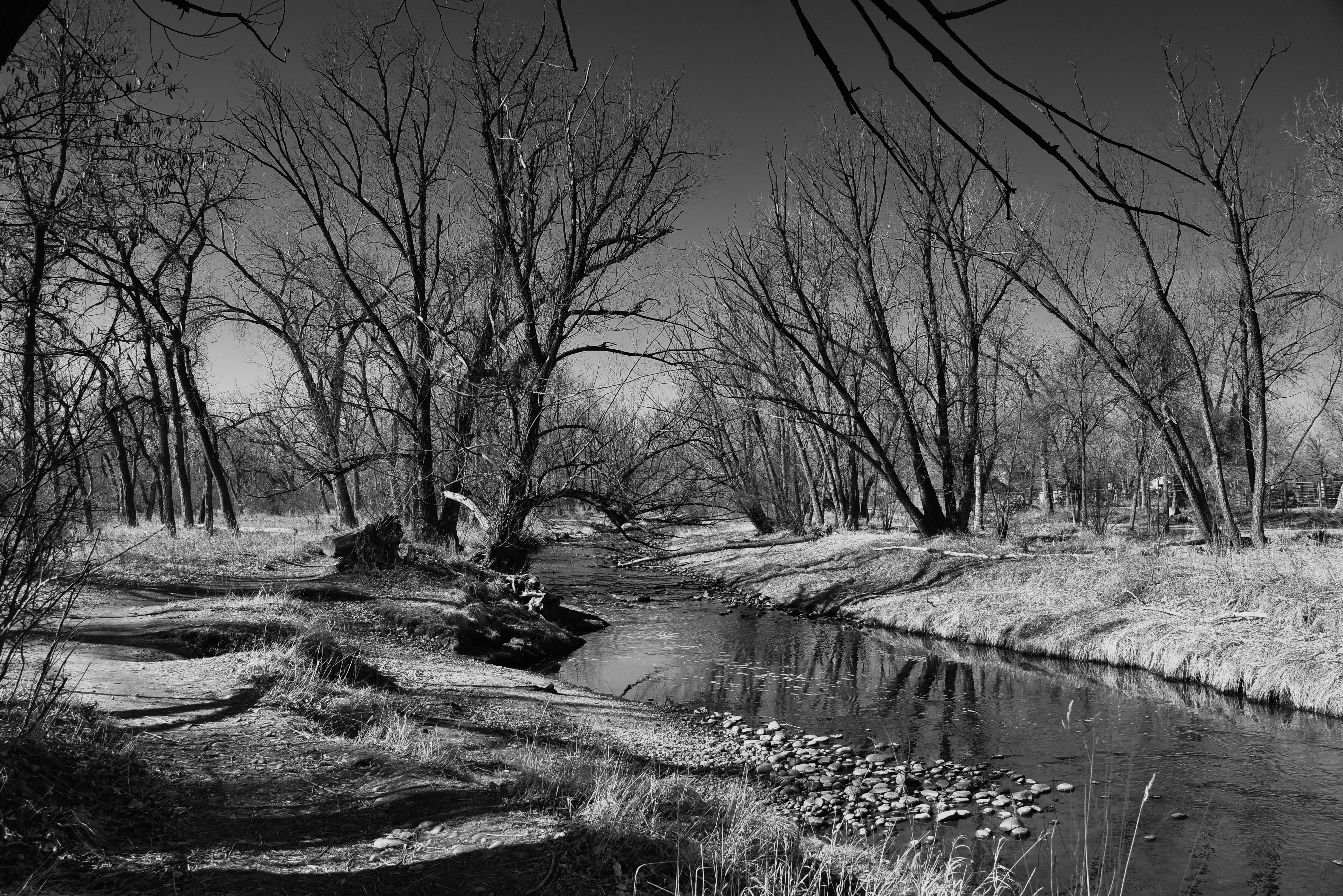 Photo by gennady107