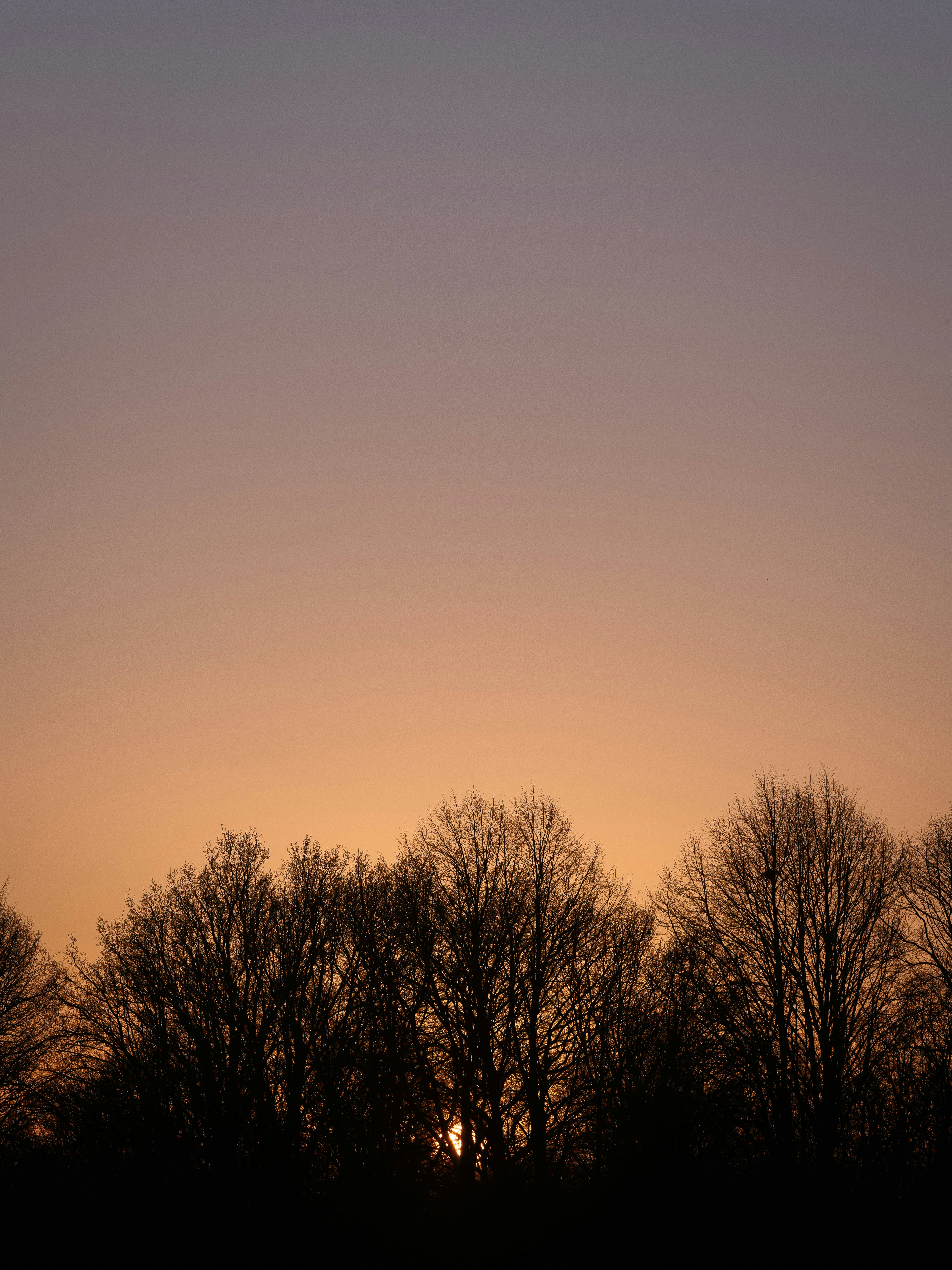 Photo by haberdoedas